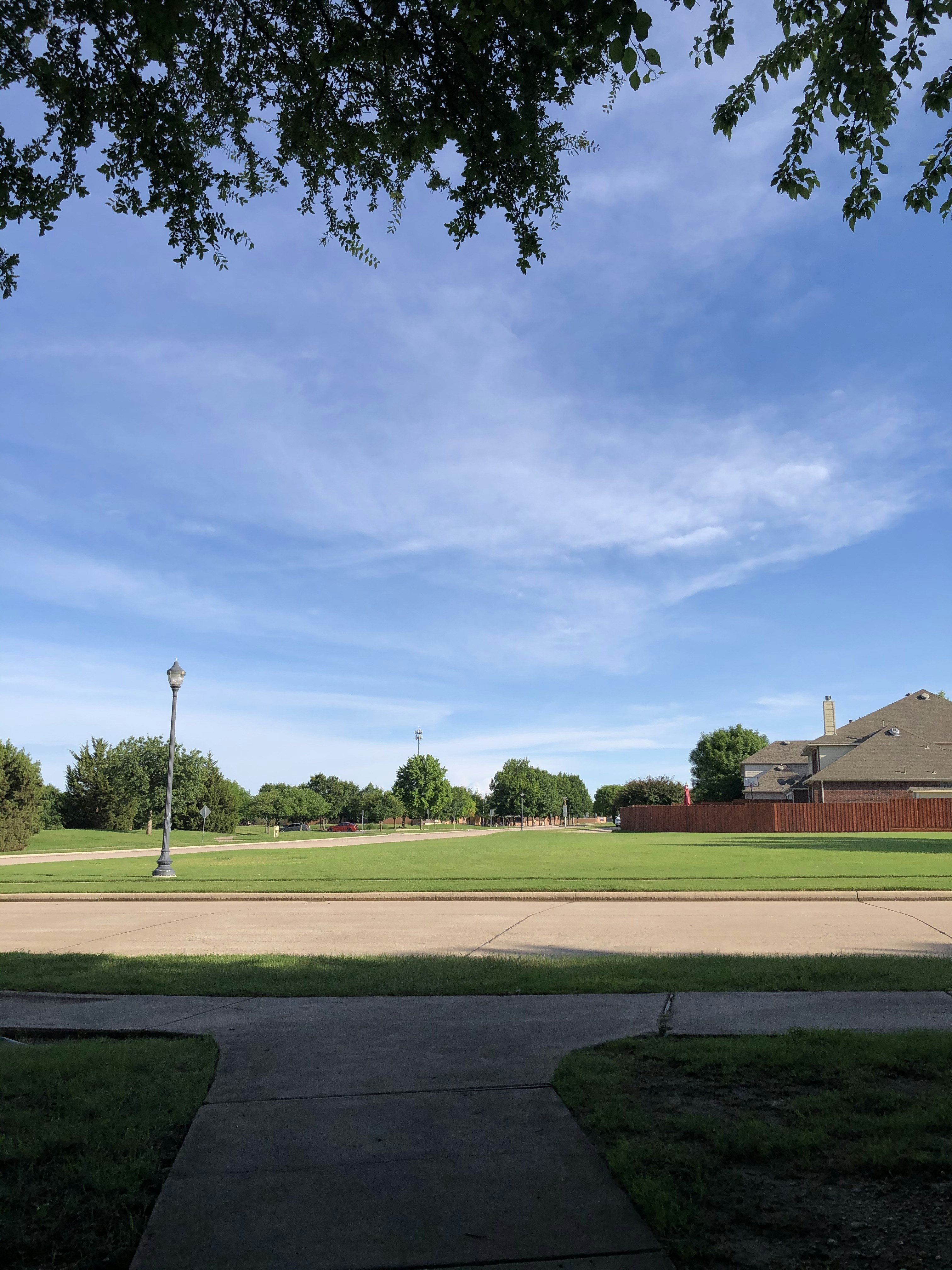 a view of a park from across the street