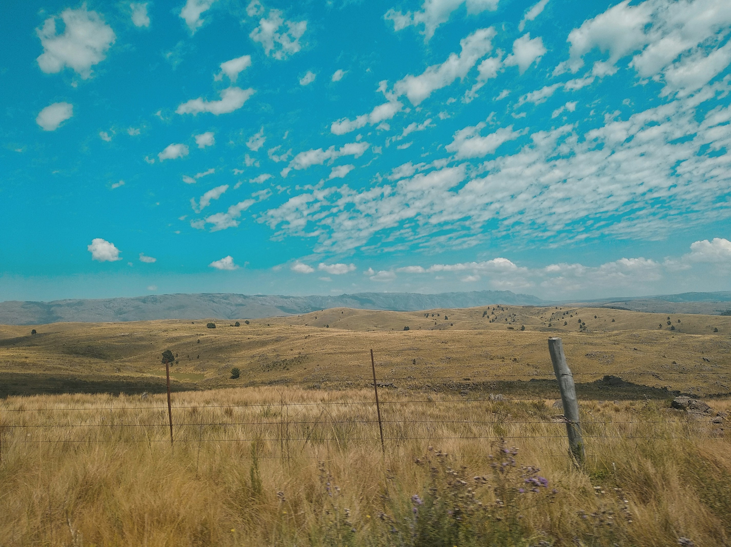 Photo by ivanstanley