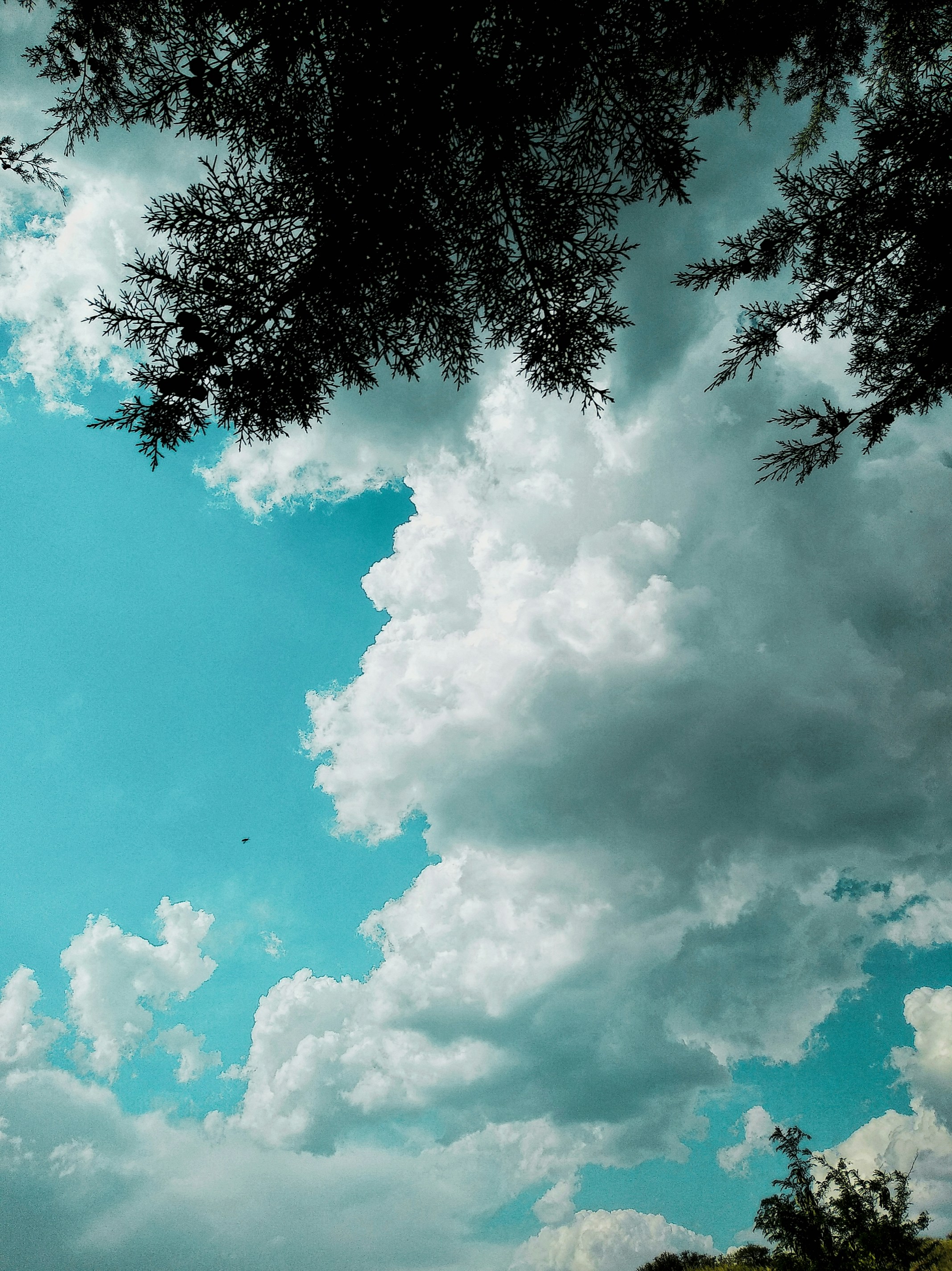 Photo by ivanstanley