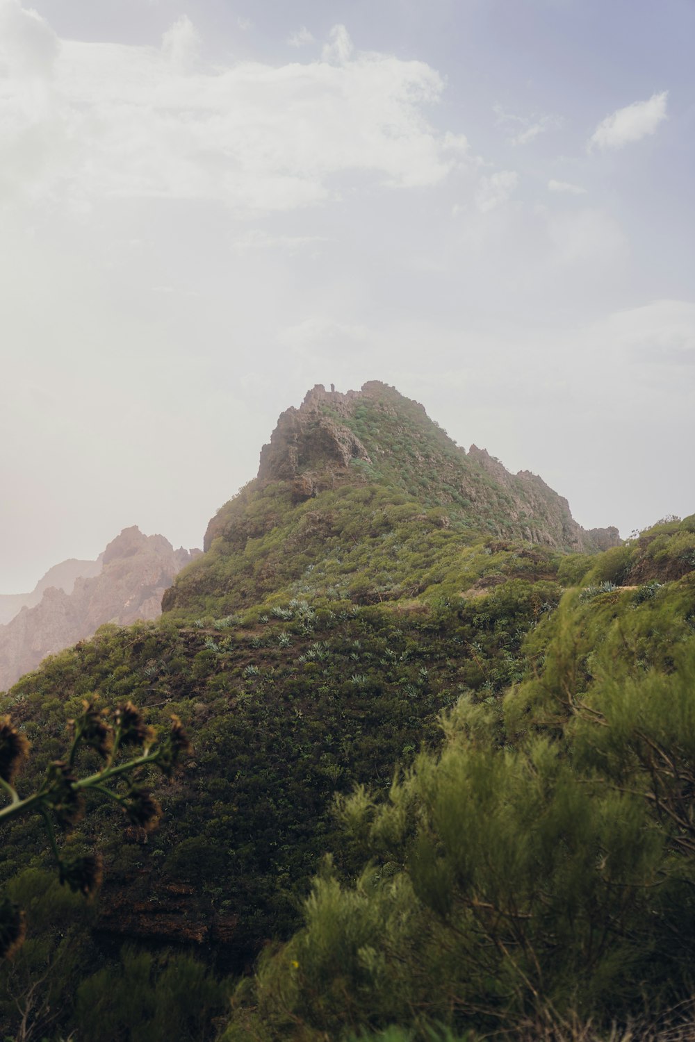 a very tall mountain with a bunch of trees on top of it