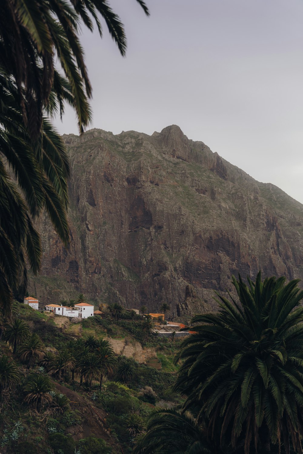 a view of a mountain with a house in the foreground