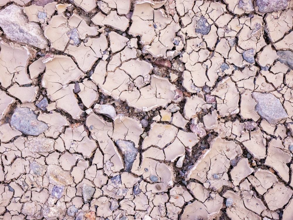 a crack in the ground with rocks and dirt