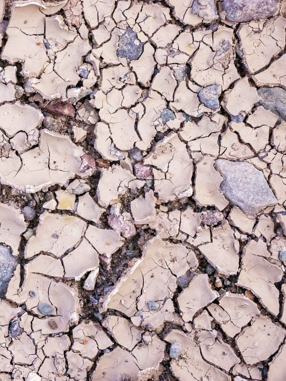 a close up of a cracked surface with rocks