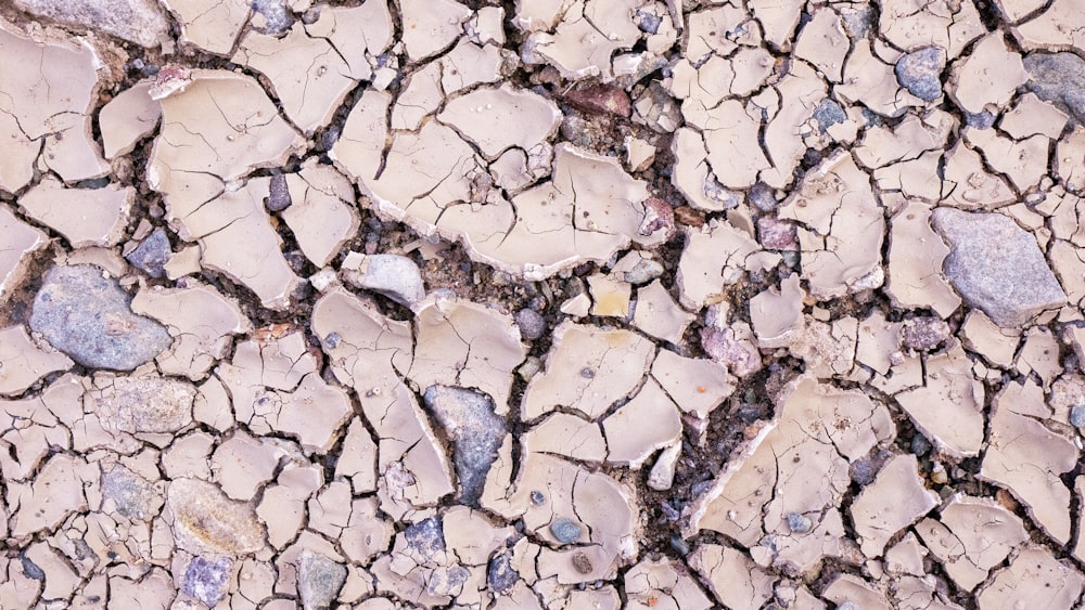 a crack in the ground that looks like it has been cracked