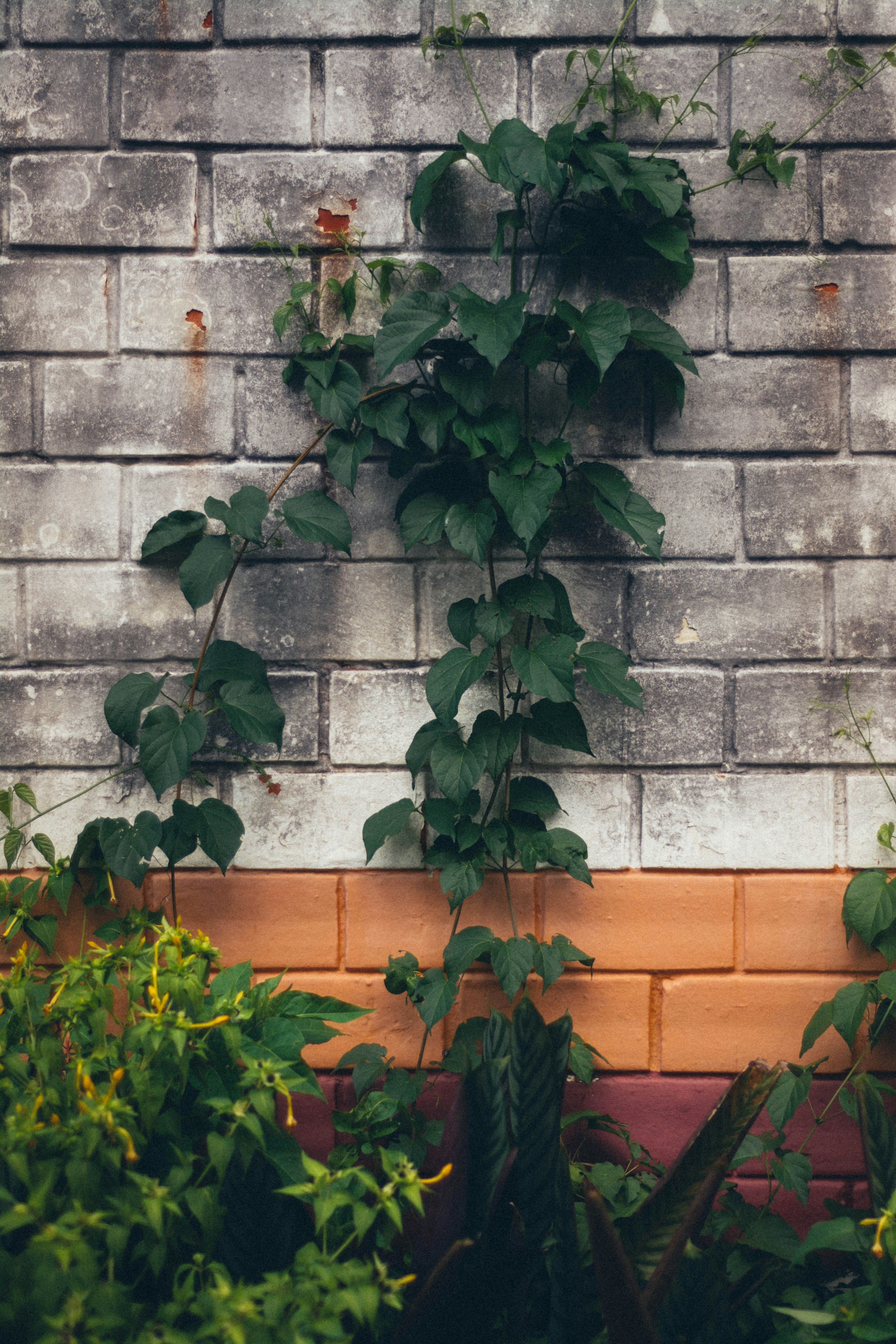 Photo by dantecandal