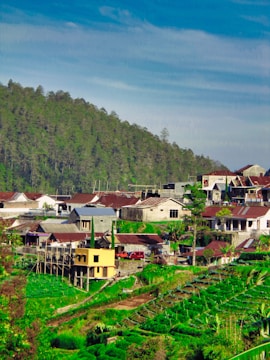 a village with a lot of houses in the background