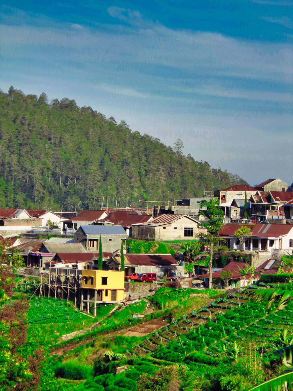 a village with a lot of houses in the background