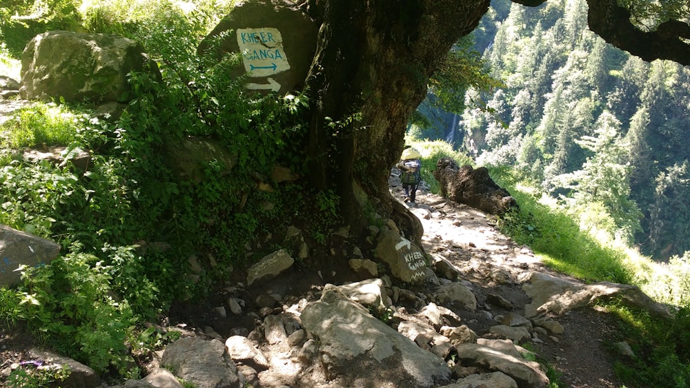 a man hiking up a trail in the mountains