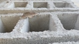 A cinder block is shown in close-up, revealing its rough, textured surface and square cavities. A dry brown leaf rests on top, adding contrast to the grey concrete.