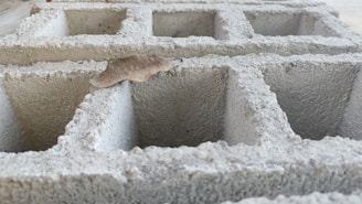 A cinder block is shown in close-up, revealing its rough, textured surface and square cavities. A dry brown leaf rests on top, adding contrast to the grey concrete.