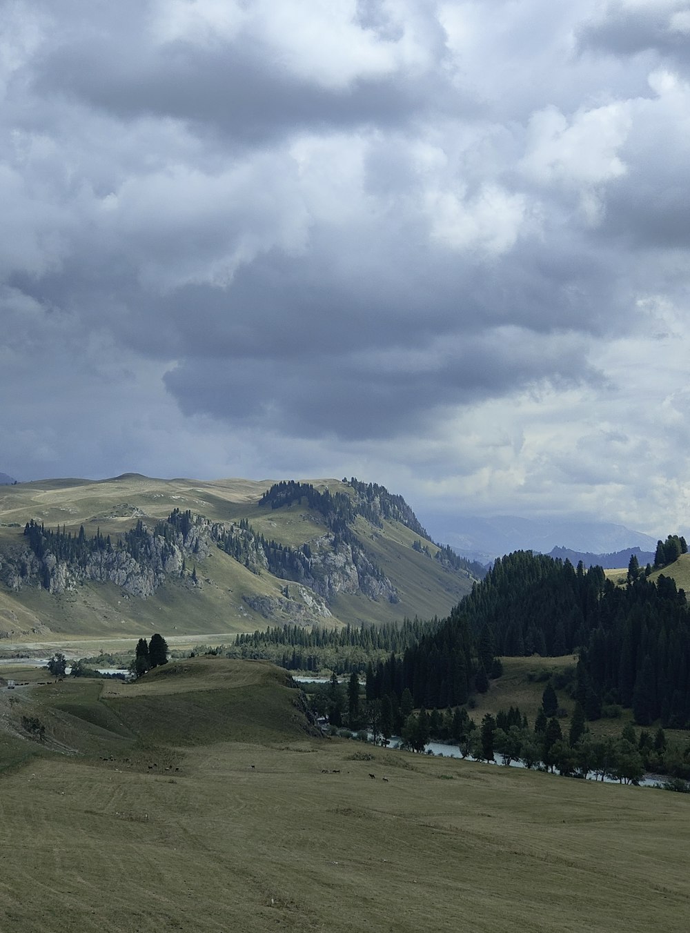 a field with a mountain in the background