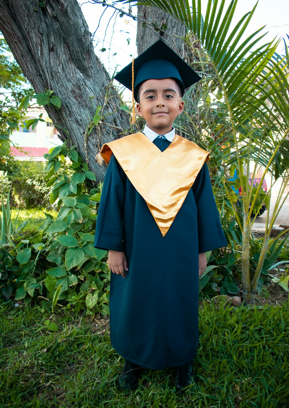 a young boy in a graduation gown and cap