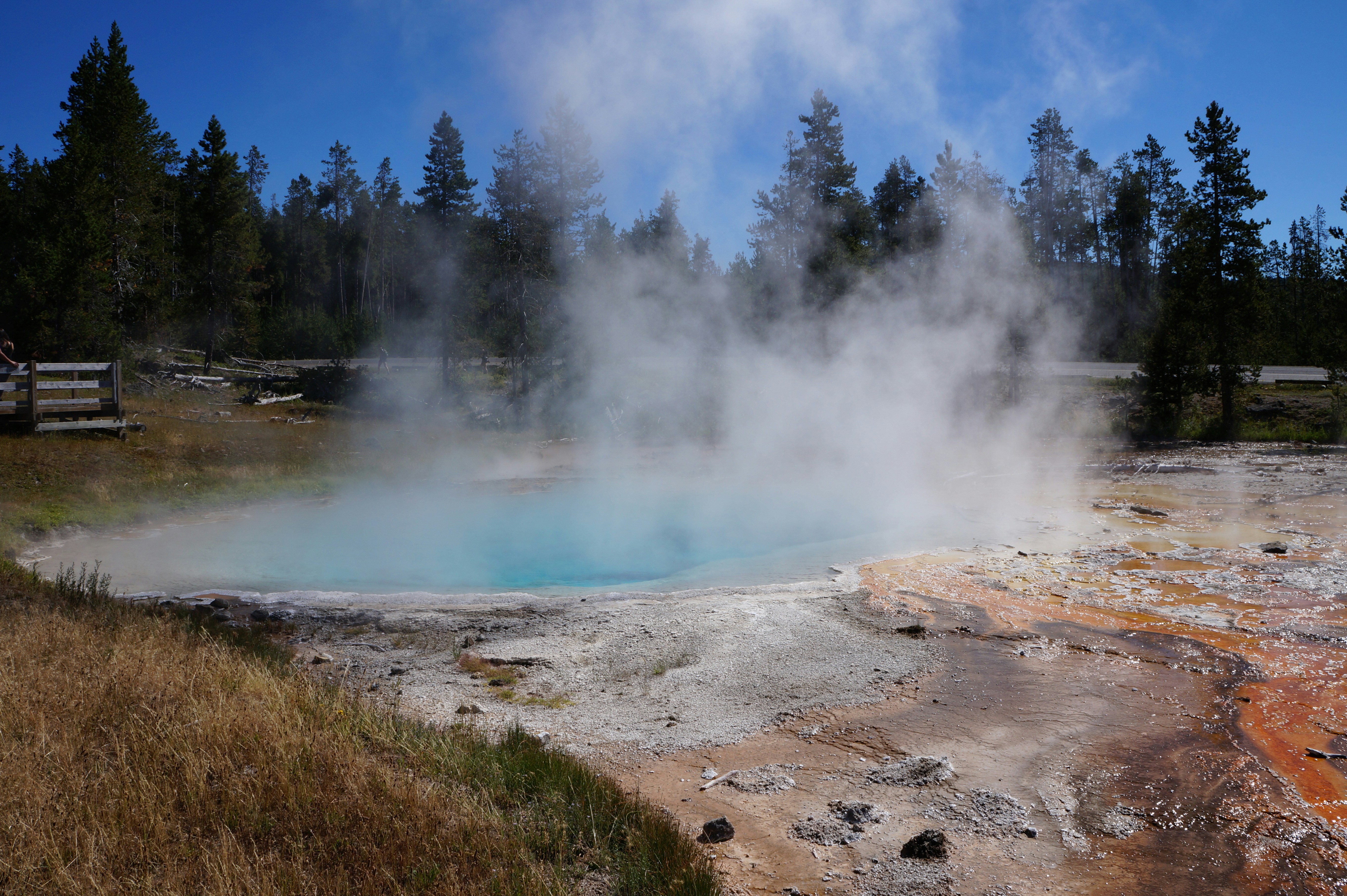 un geyser au milieu d’un champ avec des arbres en arrière-plan