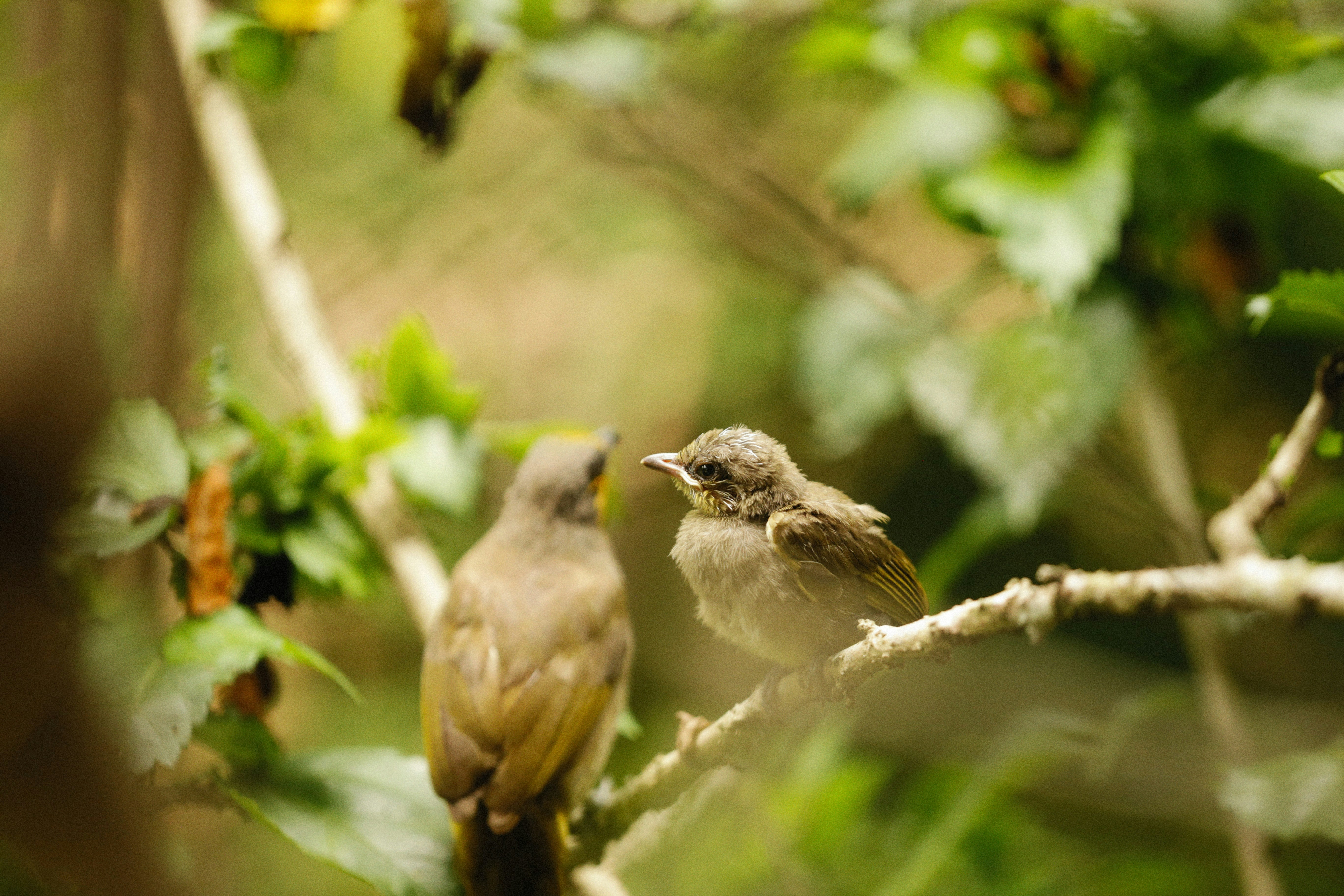 Photo by alexeydemidov