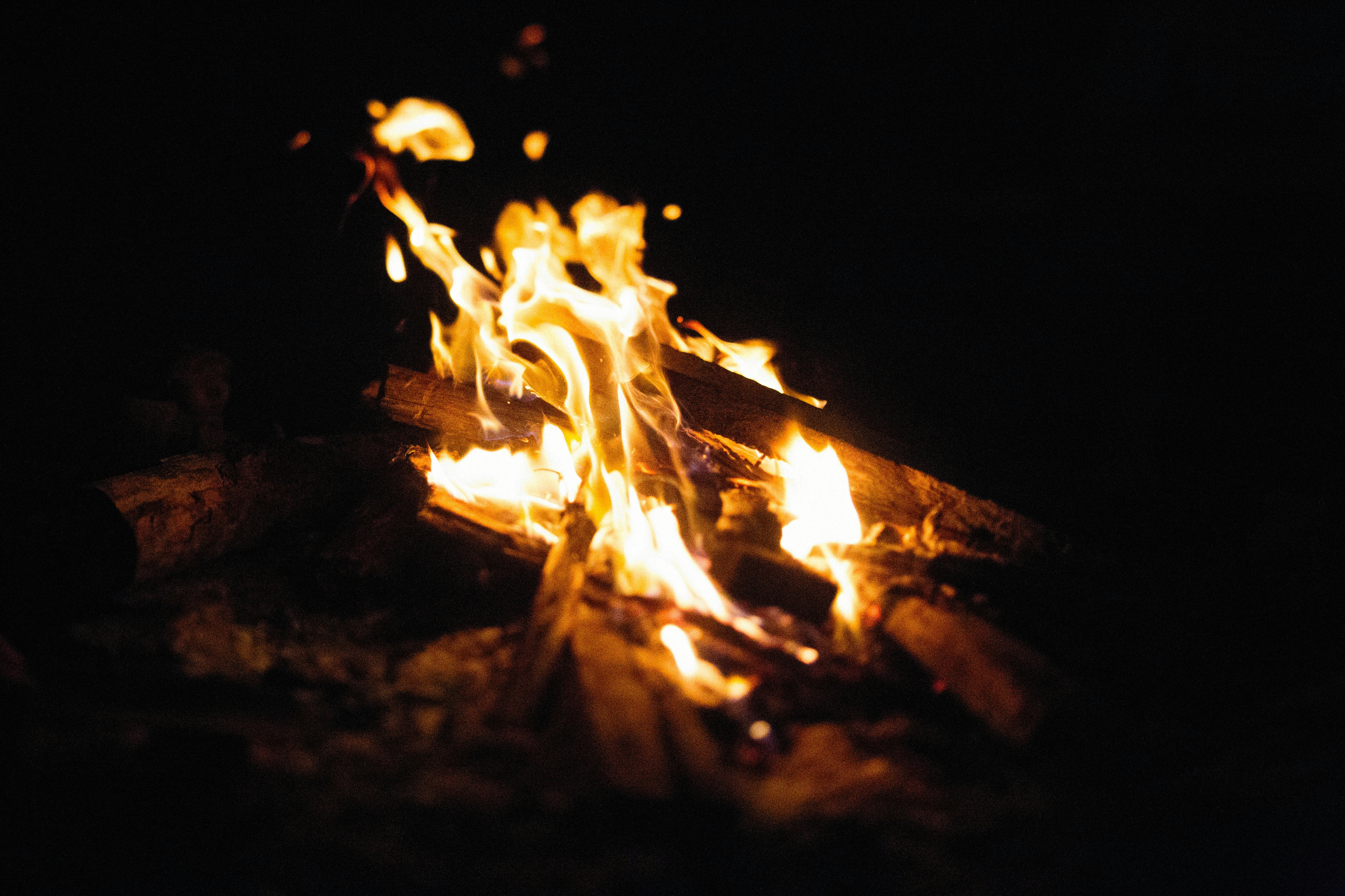 Photo by alexeydemidov