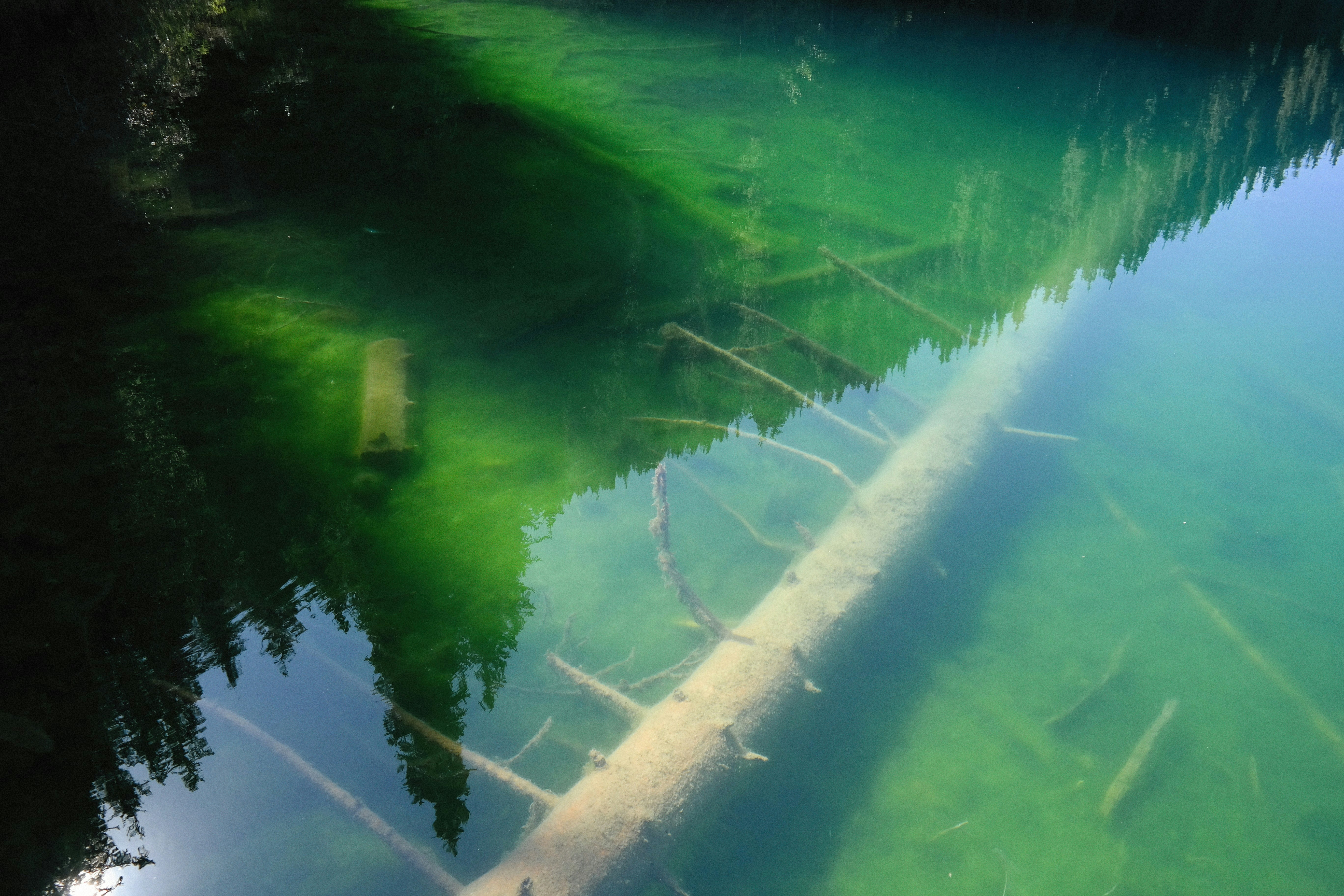 Photo by alexeydemidov