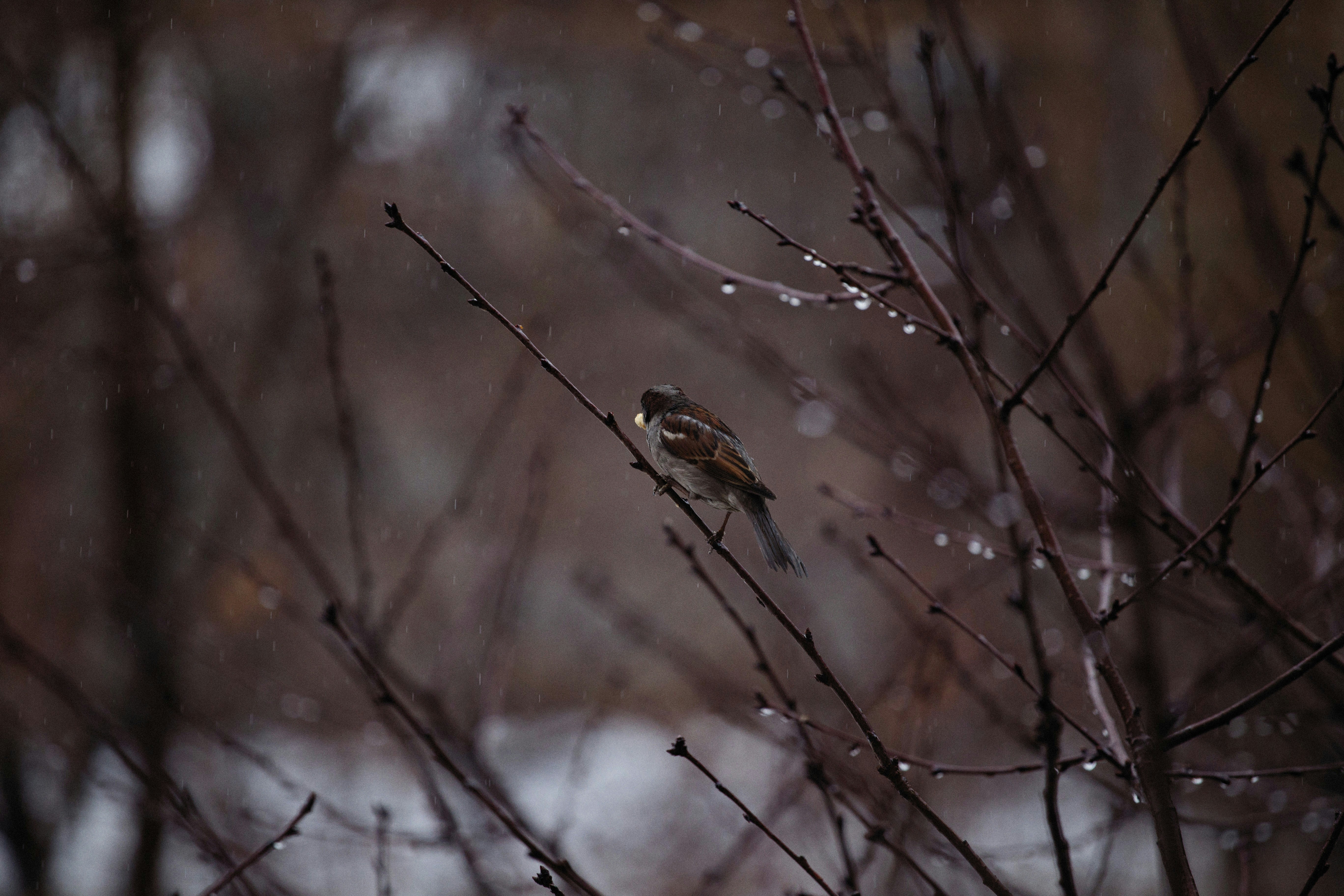 Photo by alexeydemidov