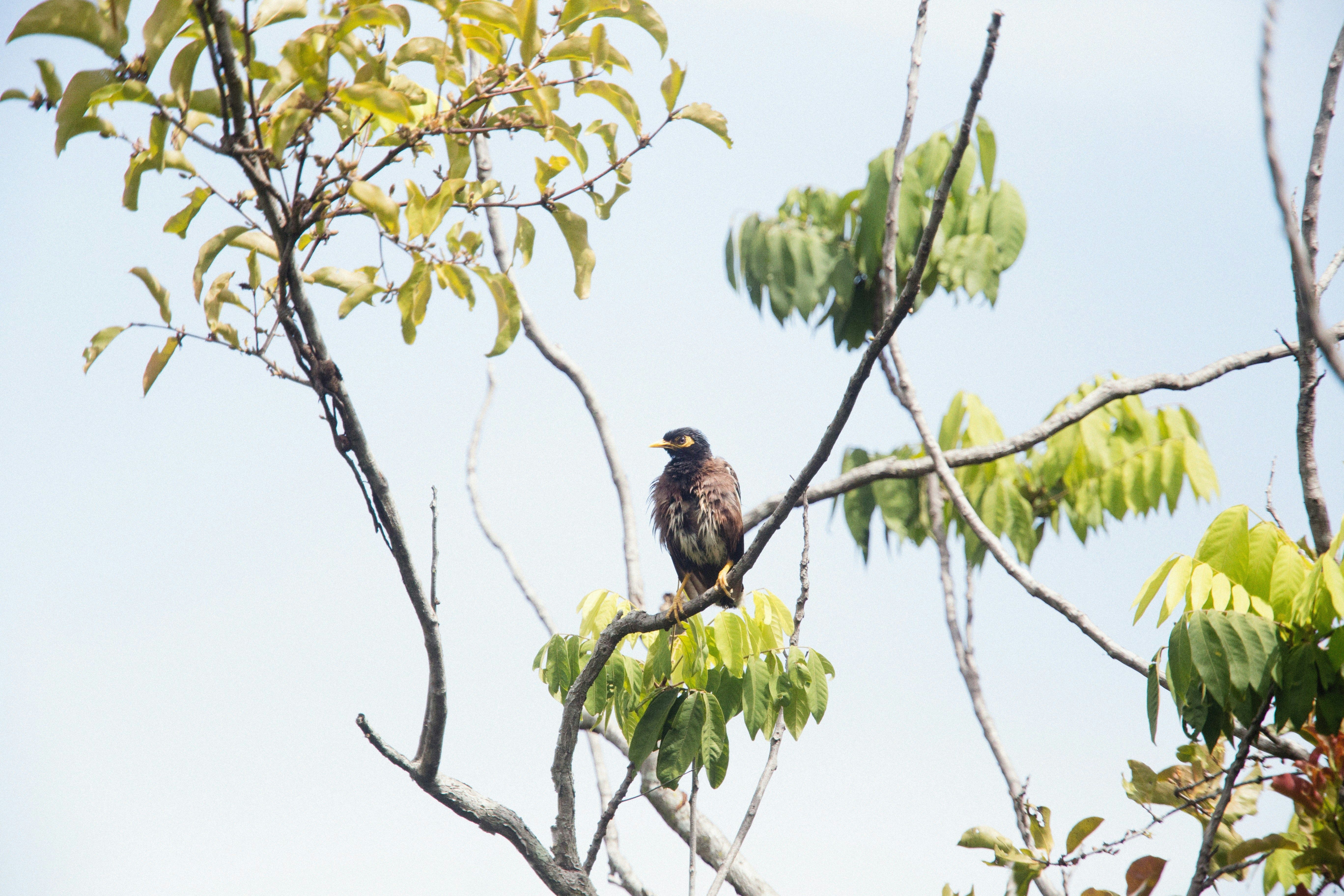 Photo by alexeydemidov