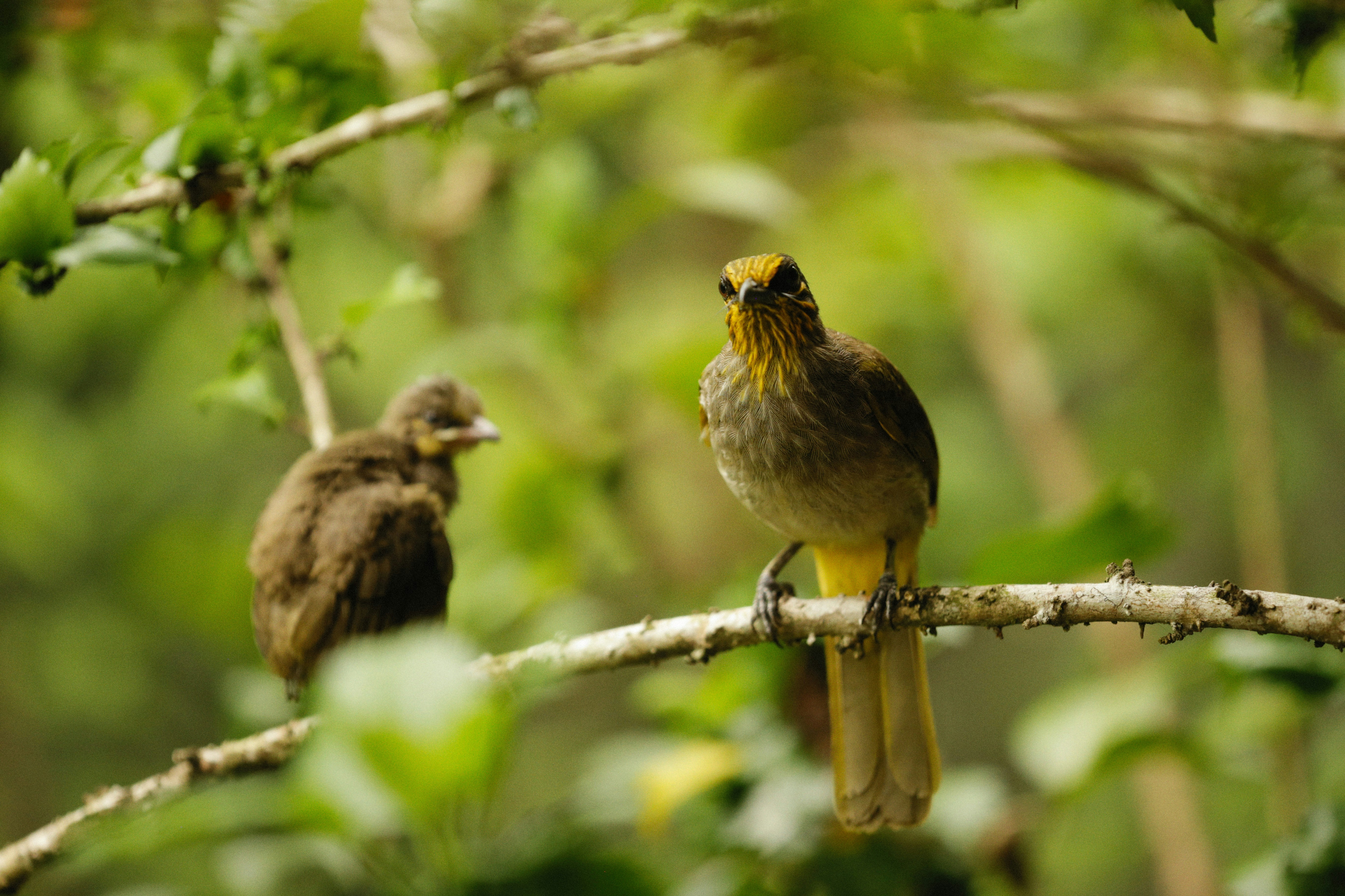 Photo by alexeydemidov