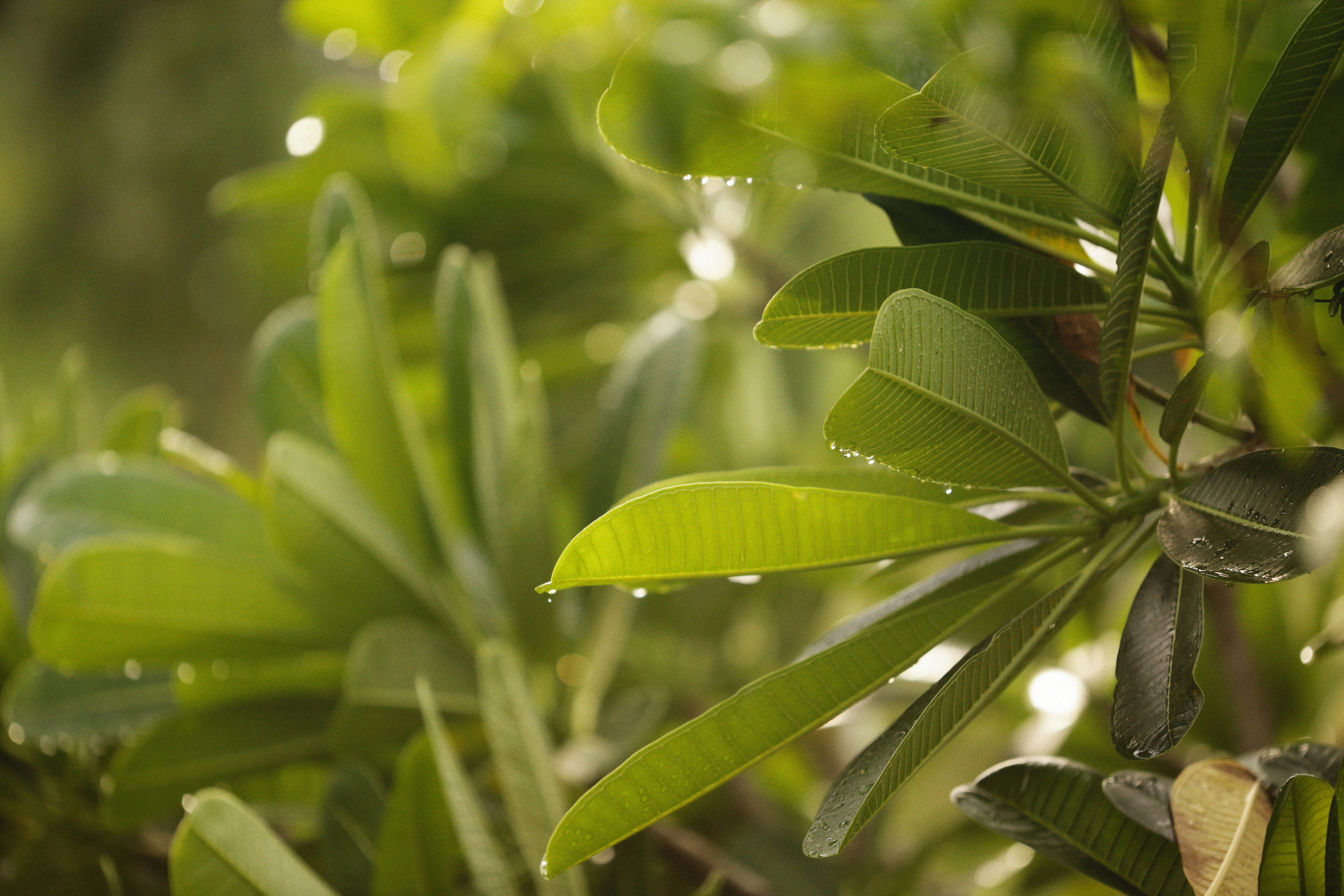 Photo by alexeydemidov