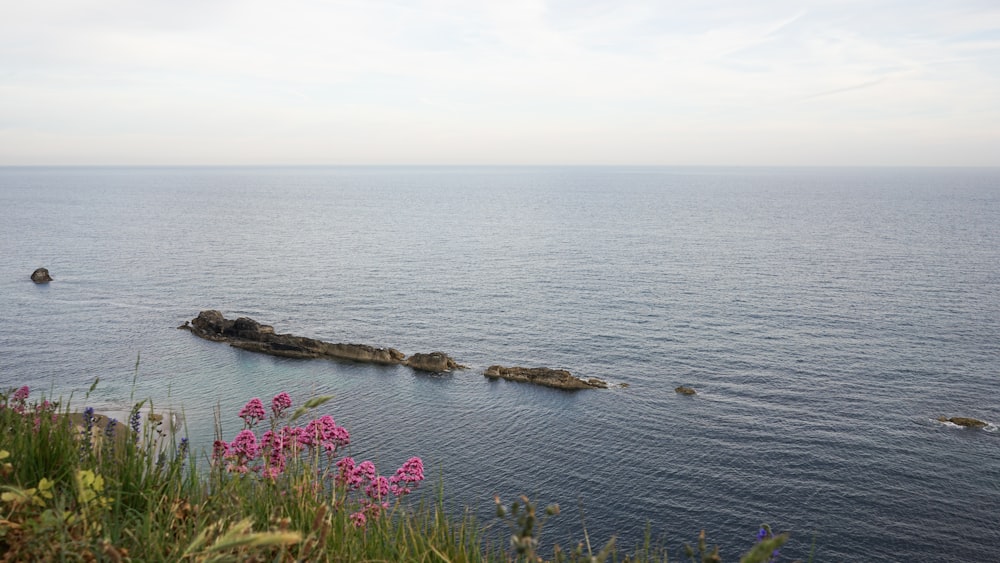 a large body of water surrounded by a lush green hillside