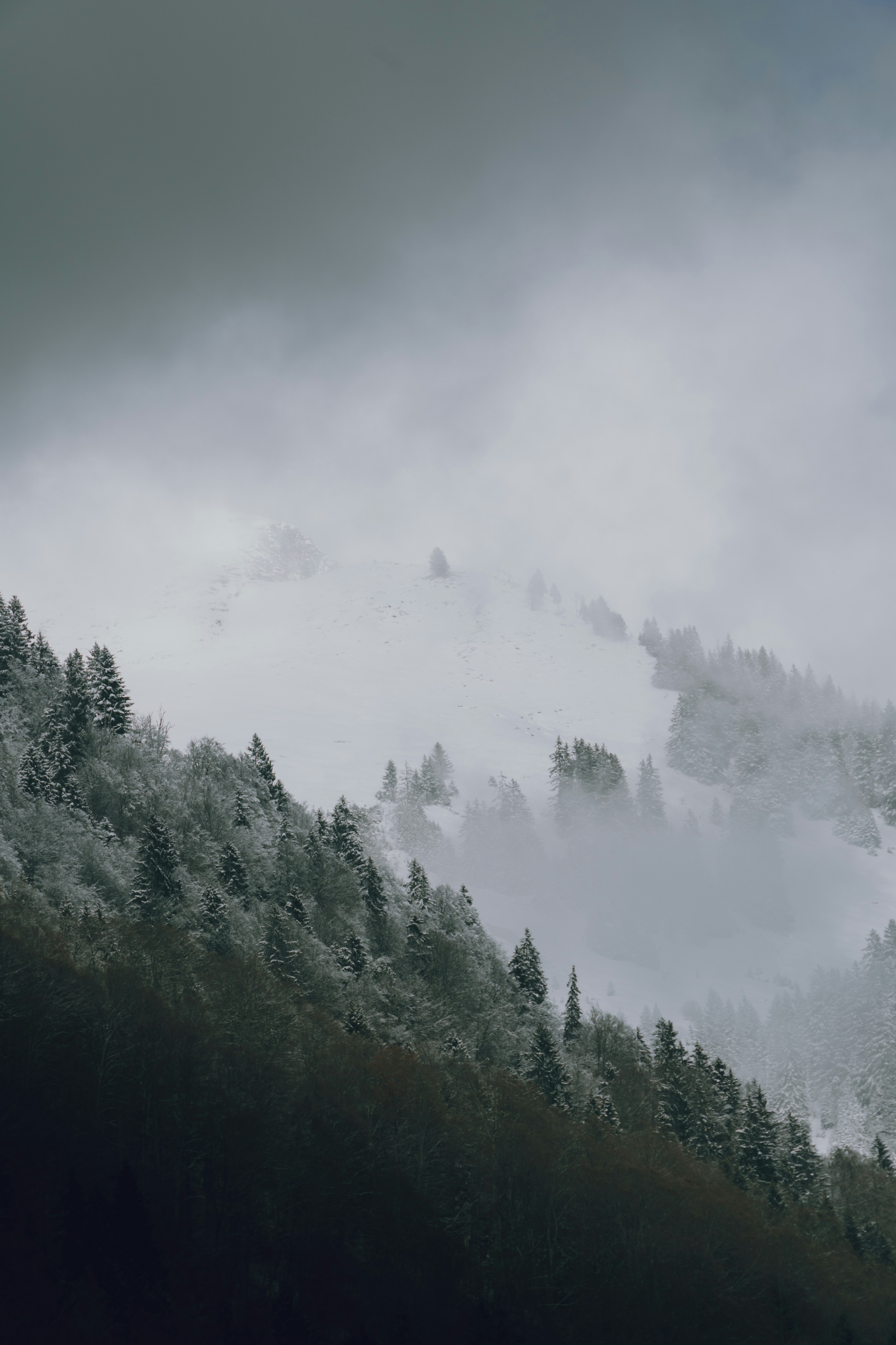 Photo by benaja_photos