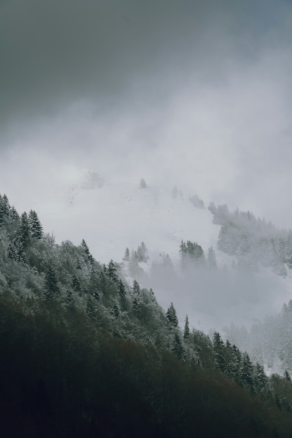 a mountain covered in fog and trees on a cloudy day