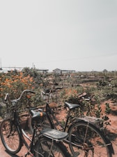 A pastoral garden scene featuring vibrant orange flowers with two bicycles parked on a dirt path. The area has a rustic feel, enhanced by a visible fence and several garden structures in the background. The lush green plants and scattered gardening tools suggest an active and maintained vegetable or flower garden.