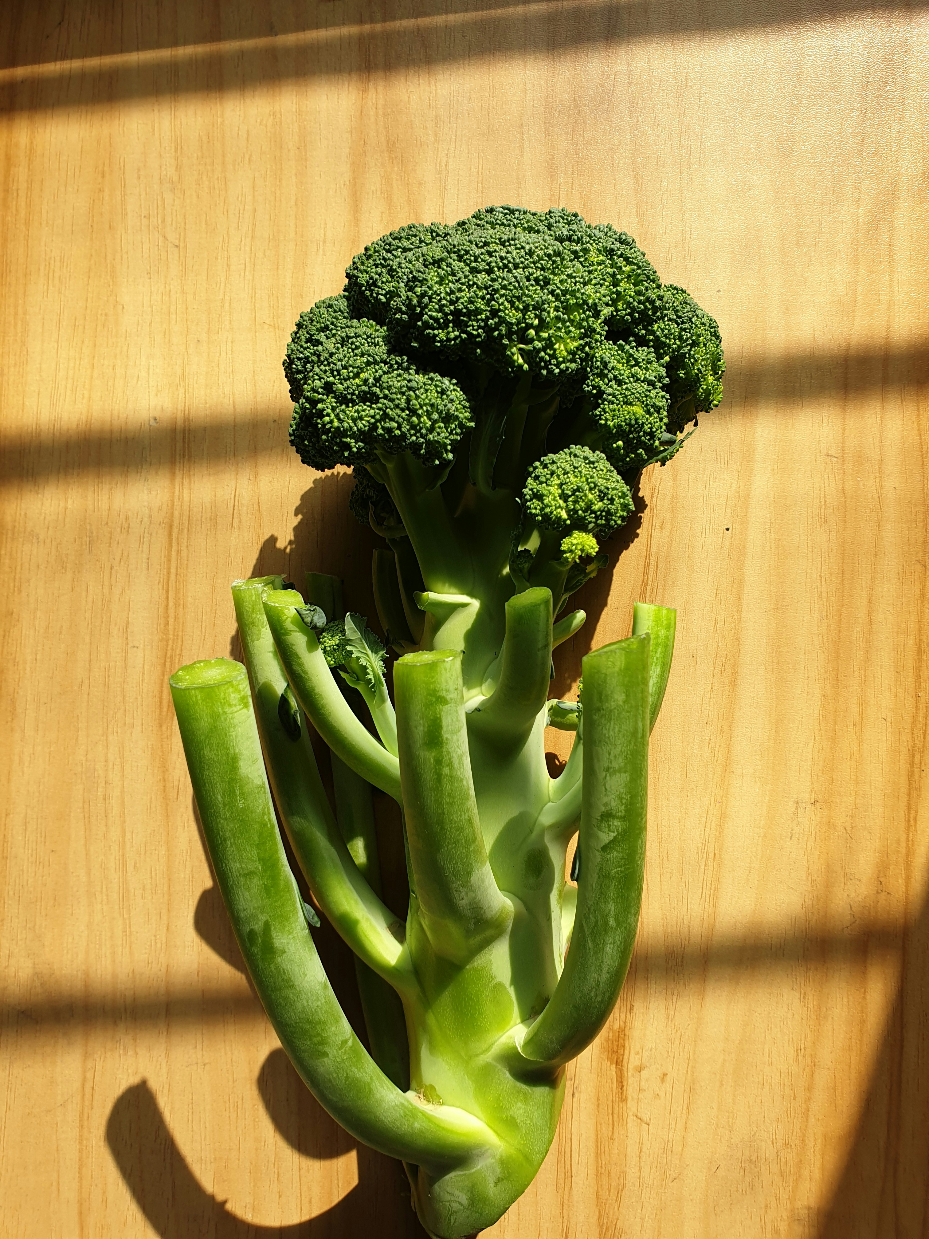 Authentic Broccoli Seeds