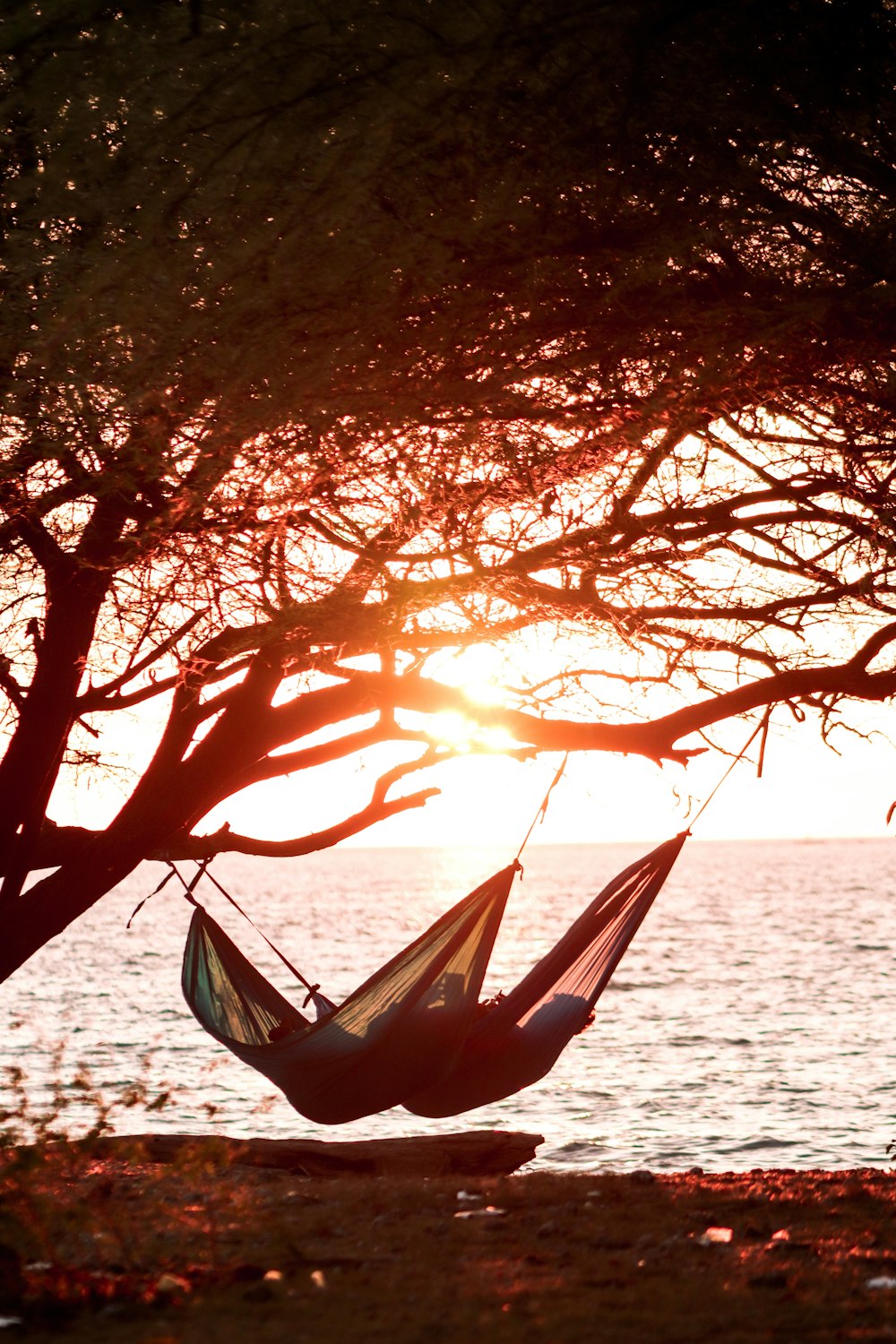 a hammock hanging from a tree next to a body of water