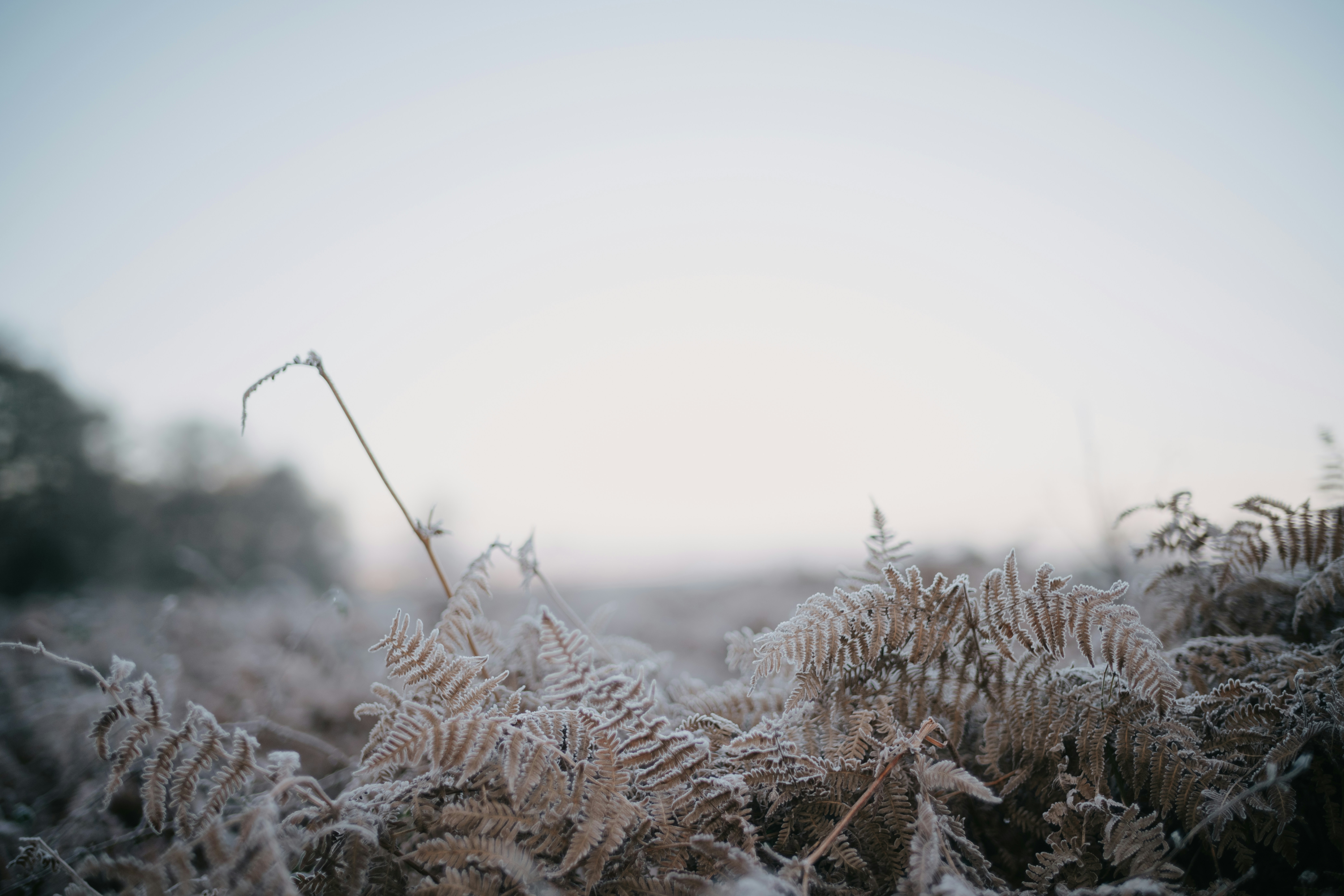 Photo by anniespratt