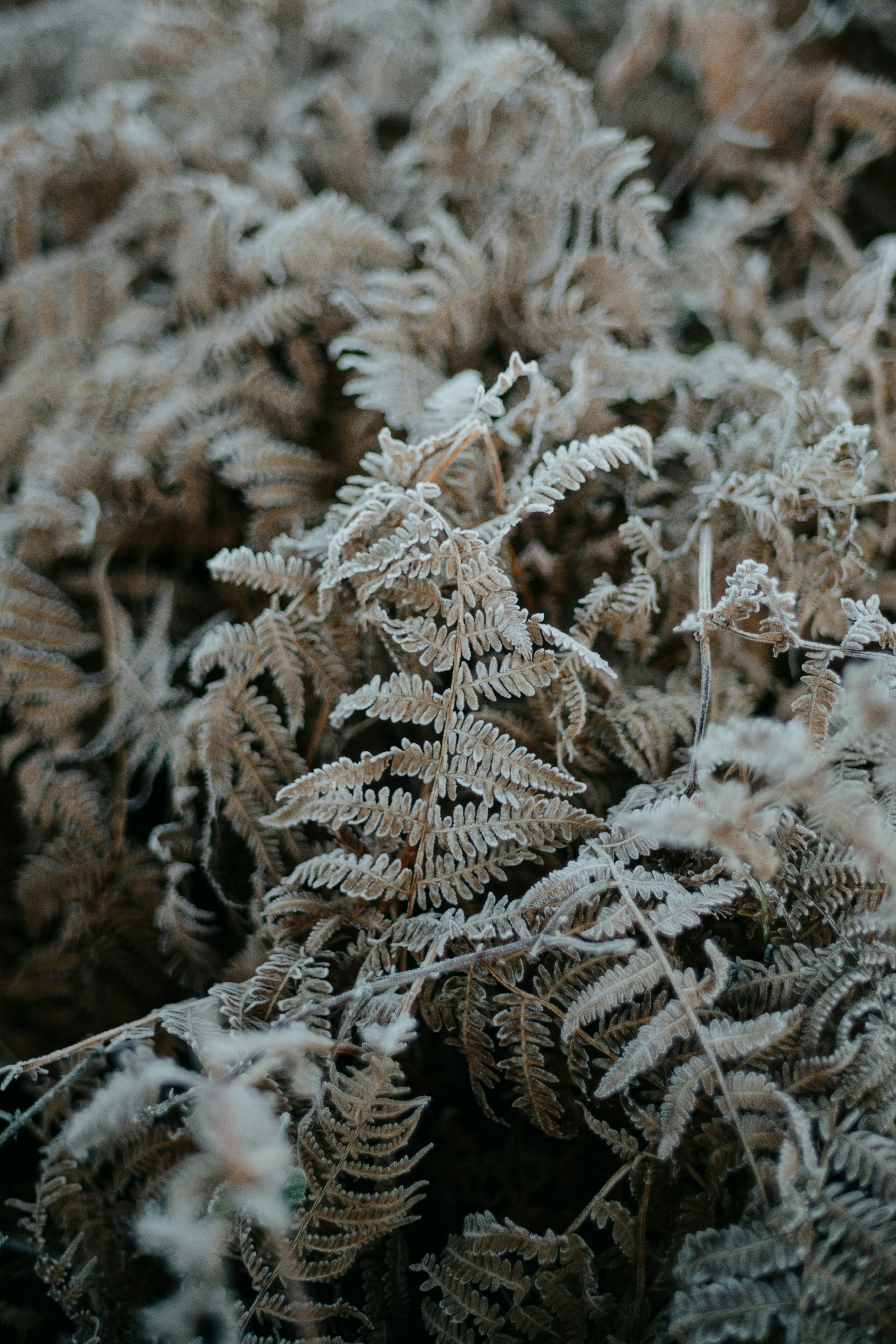 Photo by anniespratt