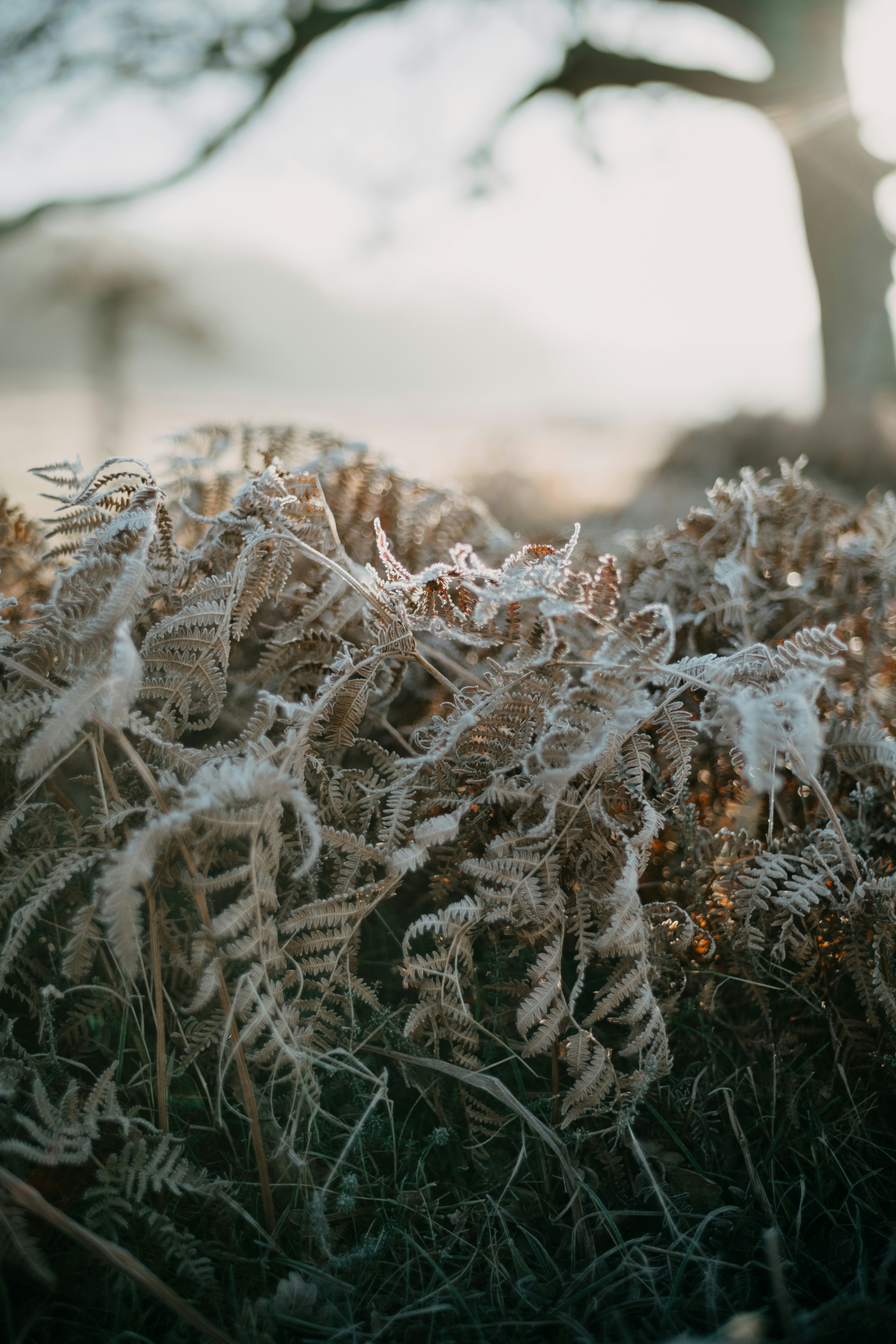 Photo by anniespratt