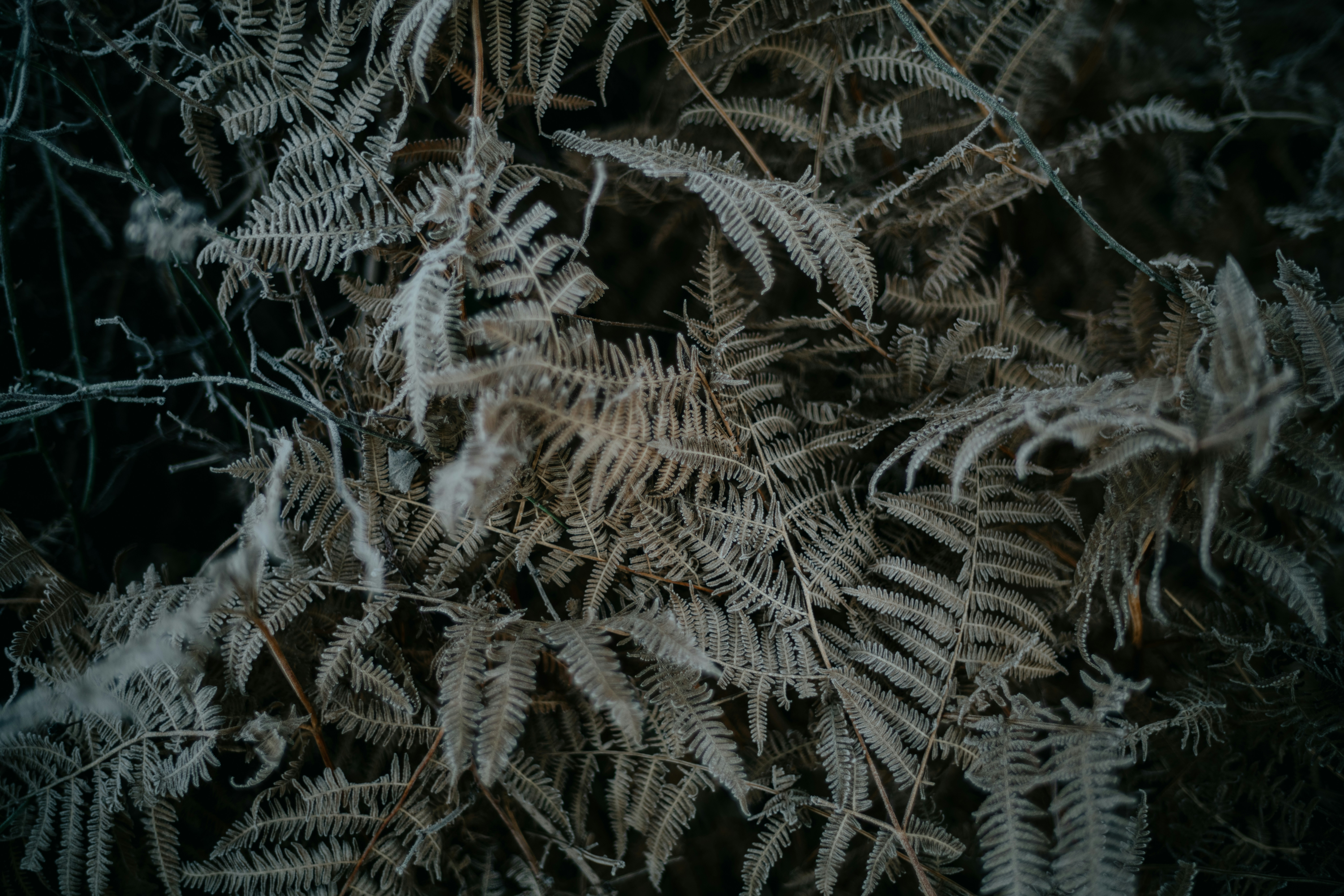 Photo by anniespratt