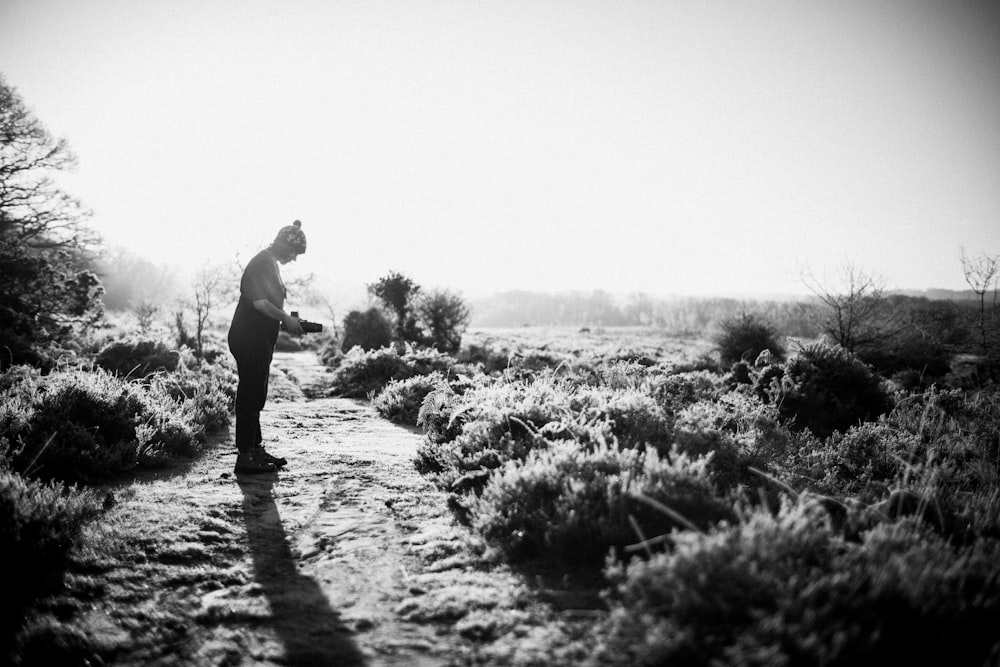 a person standing on a path in the middle of a field