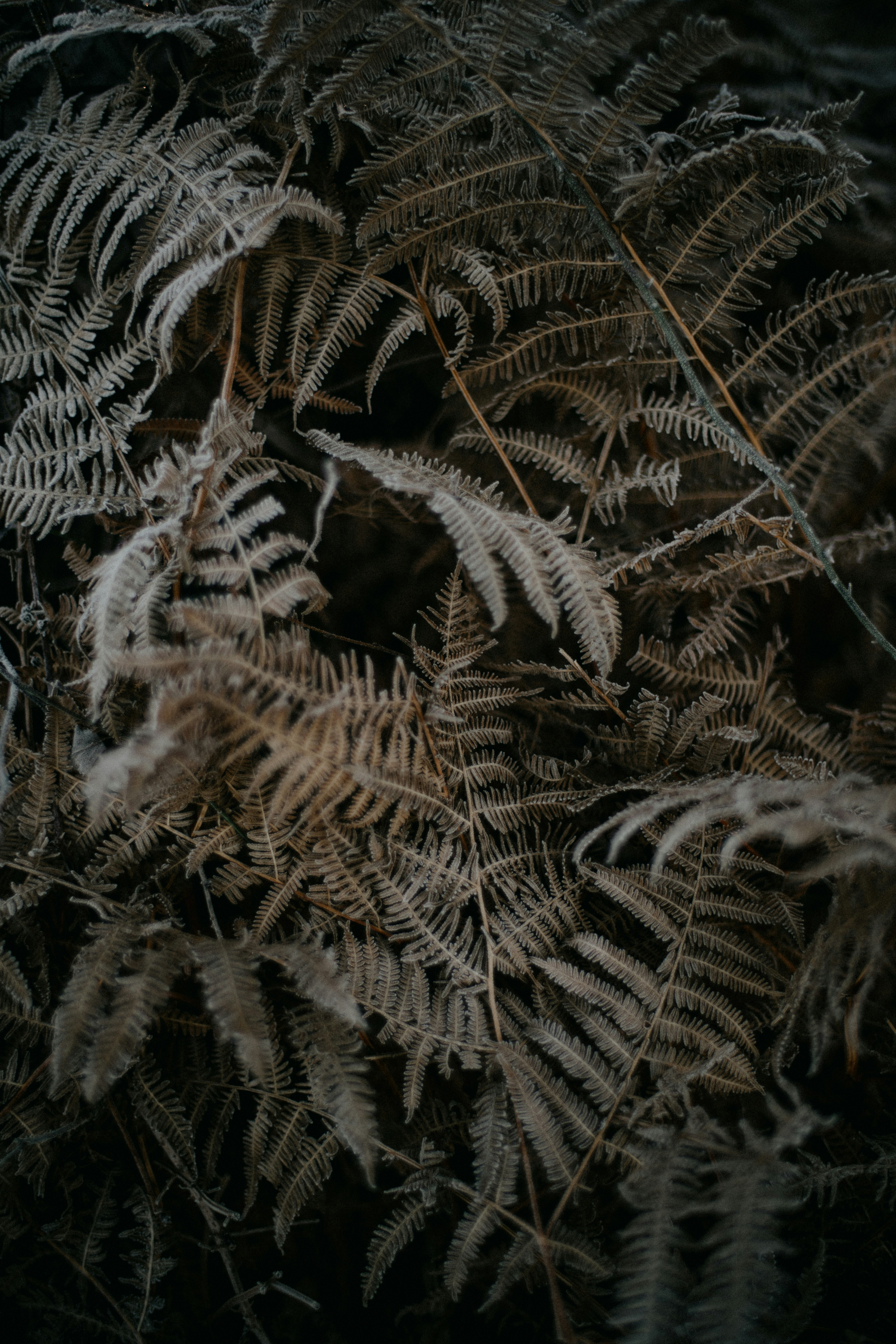 Photo by anniespratt