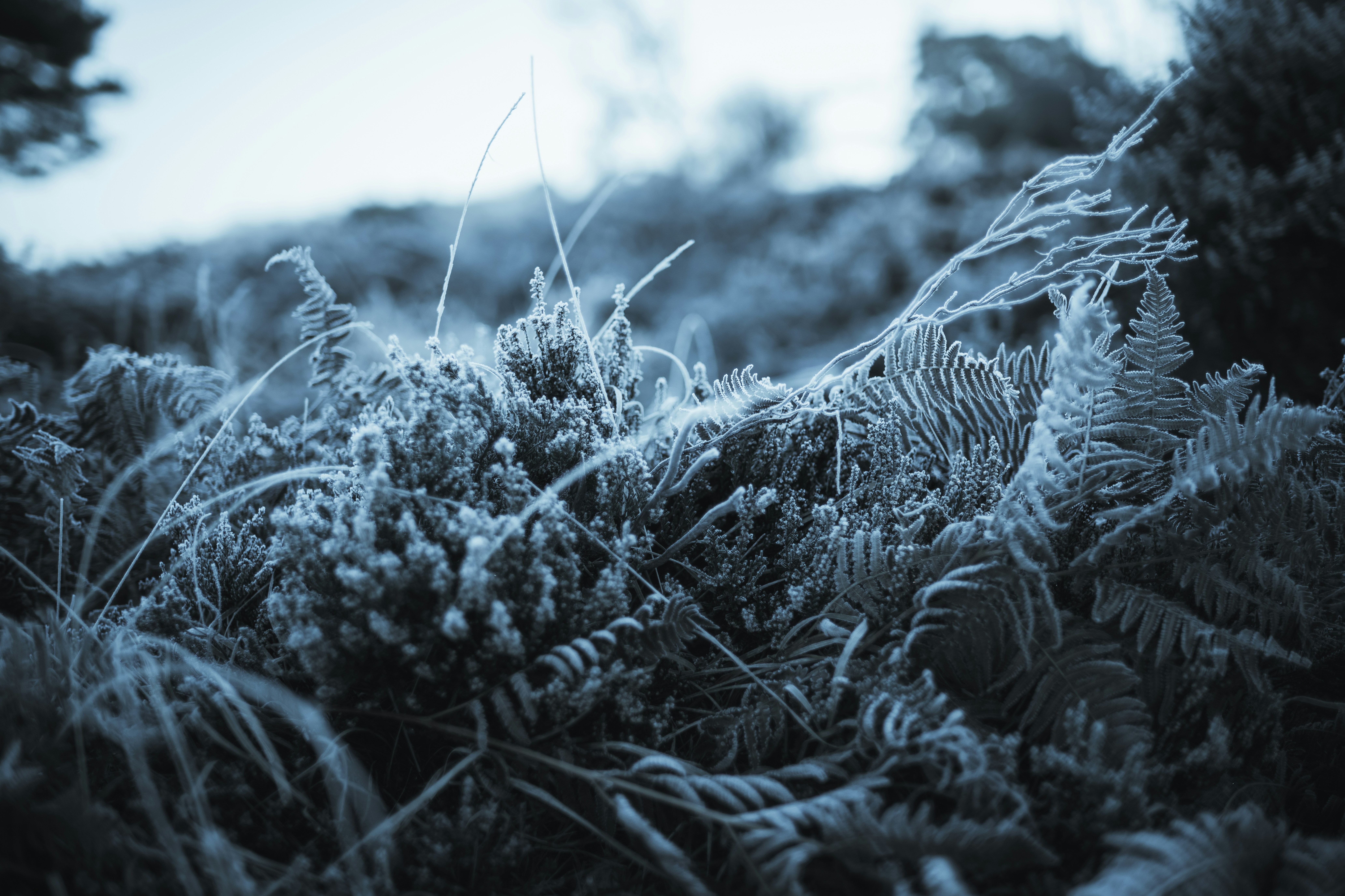 Photo by anniespratt