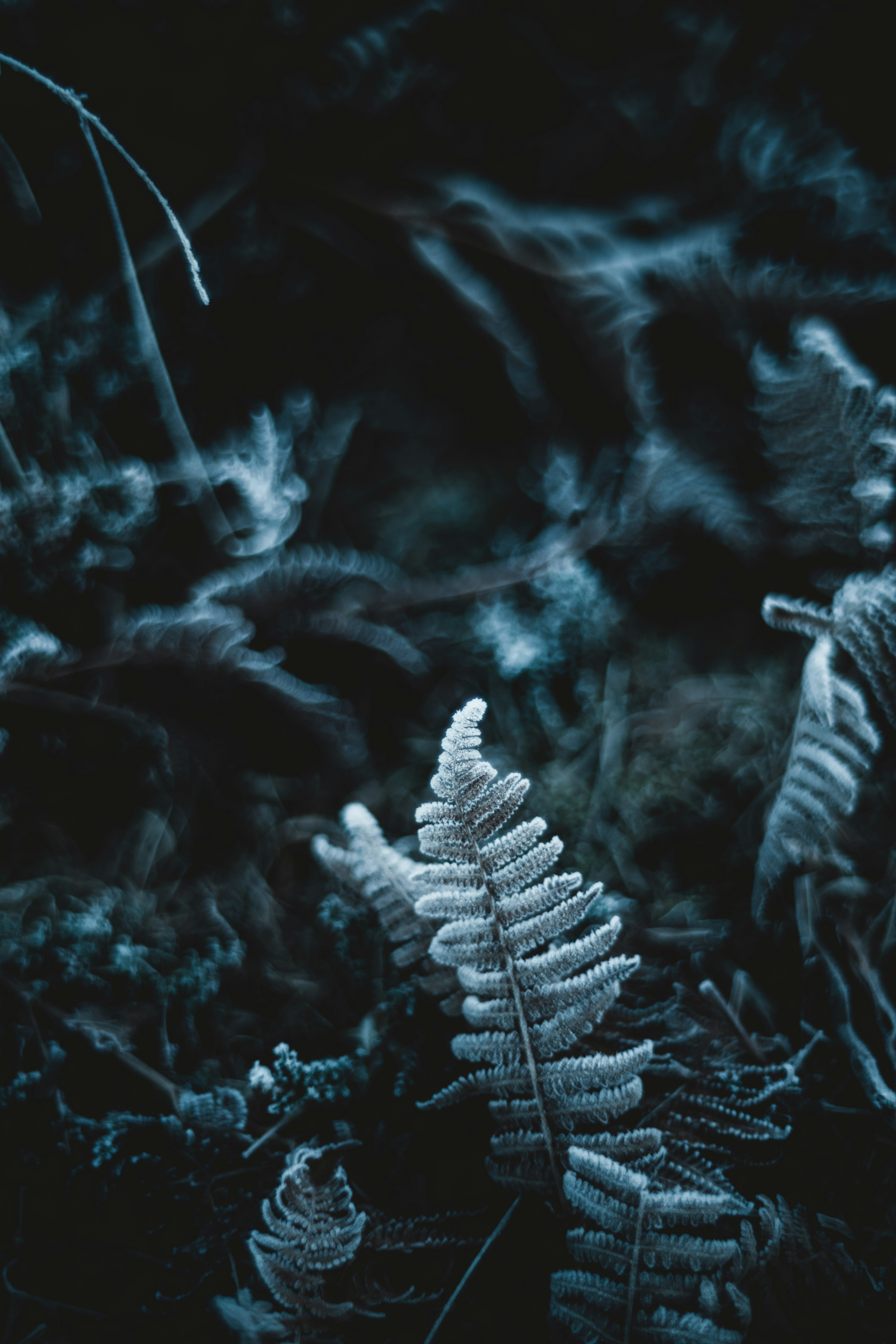 Photo by anniespratt