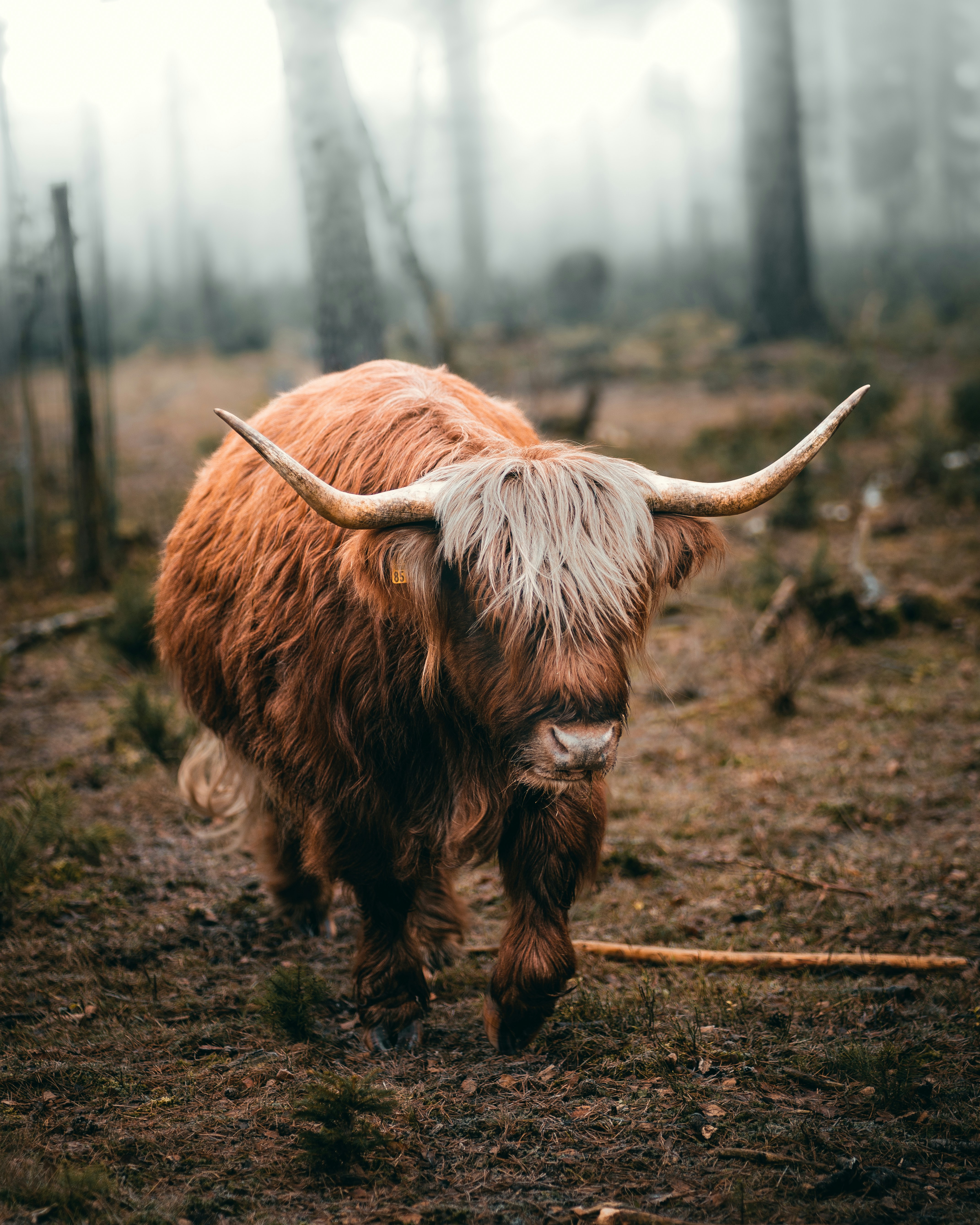 Photo by viklukphotography