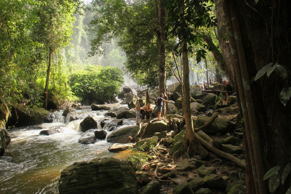 a group of people standing on top of a lush green forest