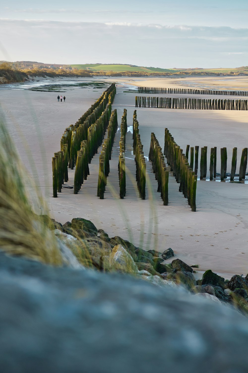 Un gruppo di pali di legno seduti sulla cima di una spiaggia sabbiosa