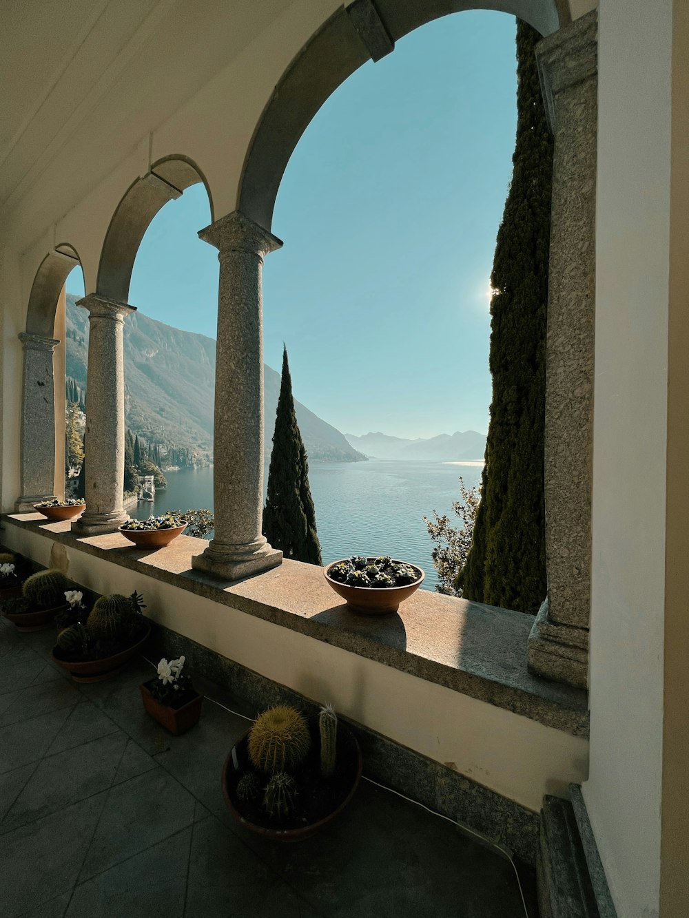 a row of potted plants sitting on top of a balcony