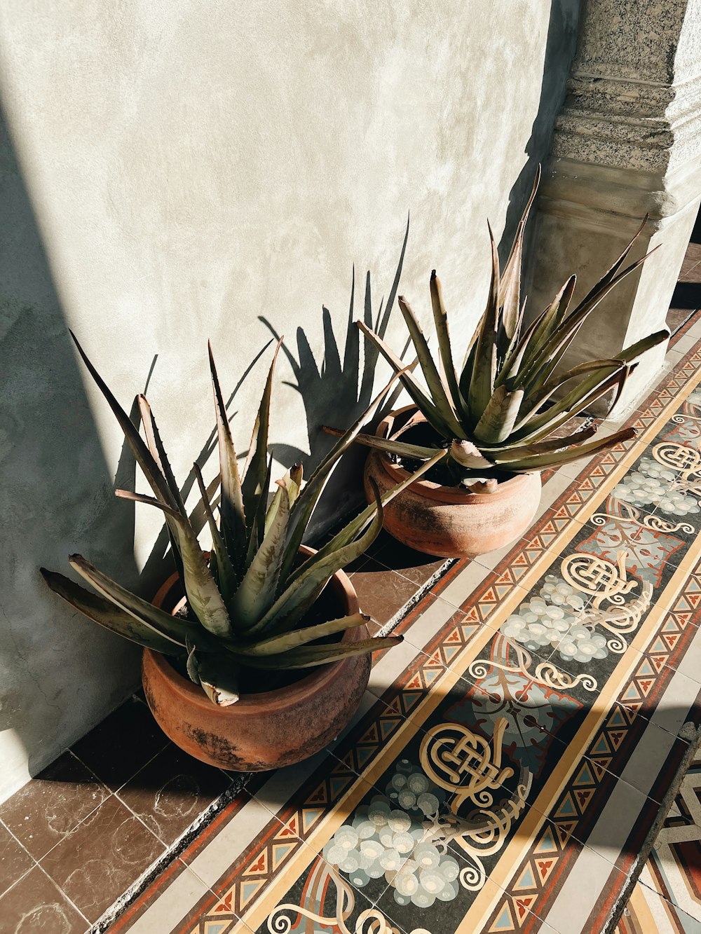 a couple of potted plants sitting on top of a tiled floor