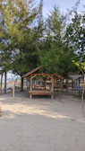 A cozy beach hut nestled among lush greenery with hammocks inviting relaxation.