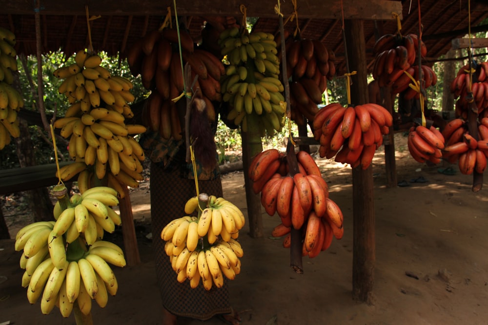 a bunch of bananas hanging from a wooden structure