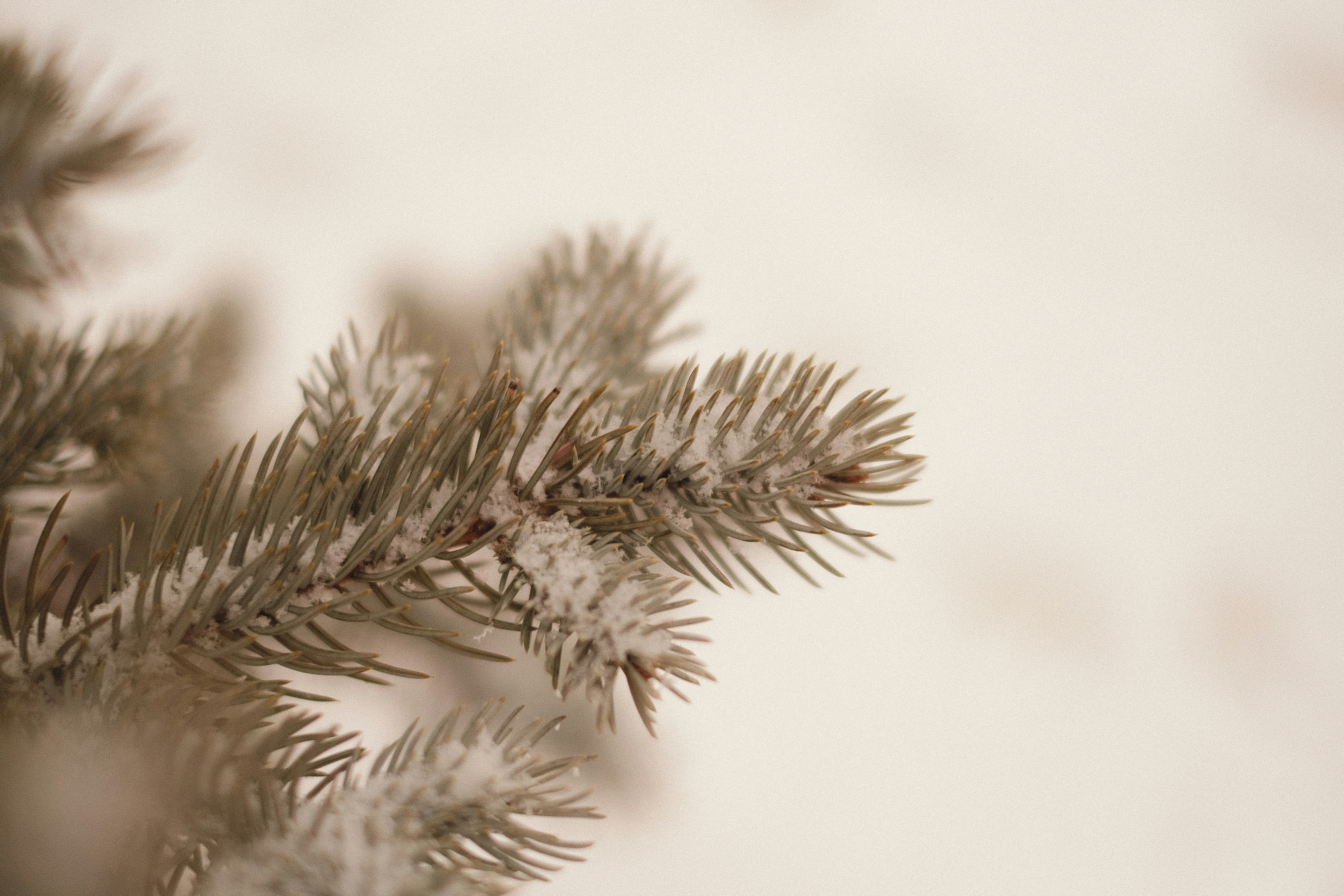 Photo by bilalfurkankosar