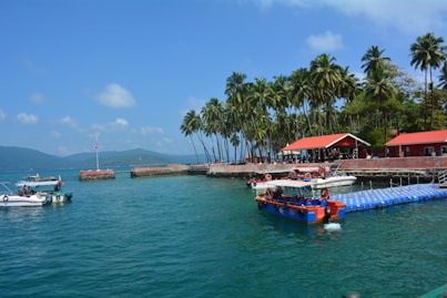 a group of boats floating on top of a body of water