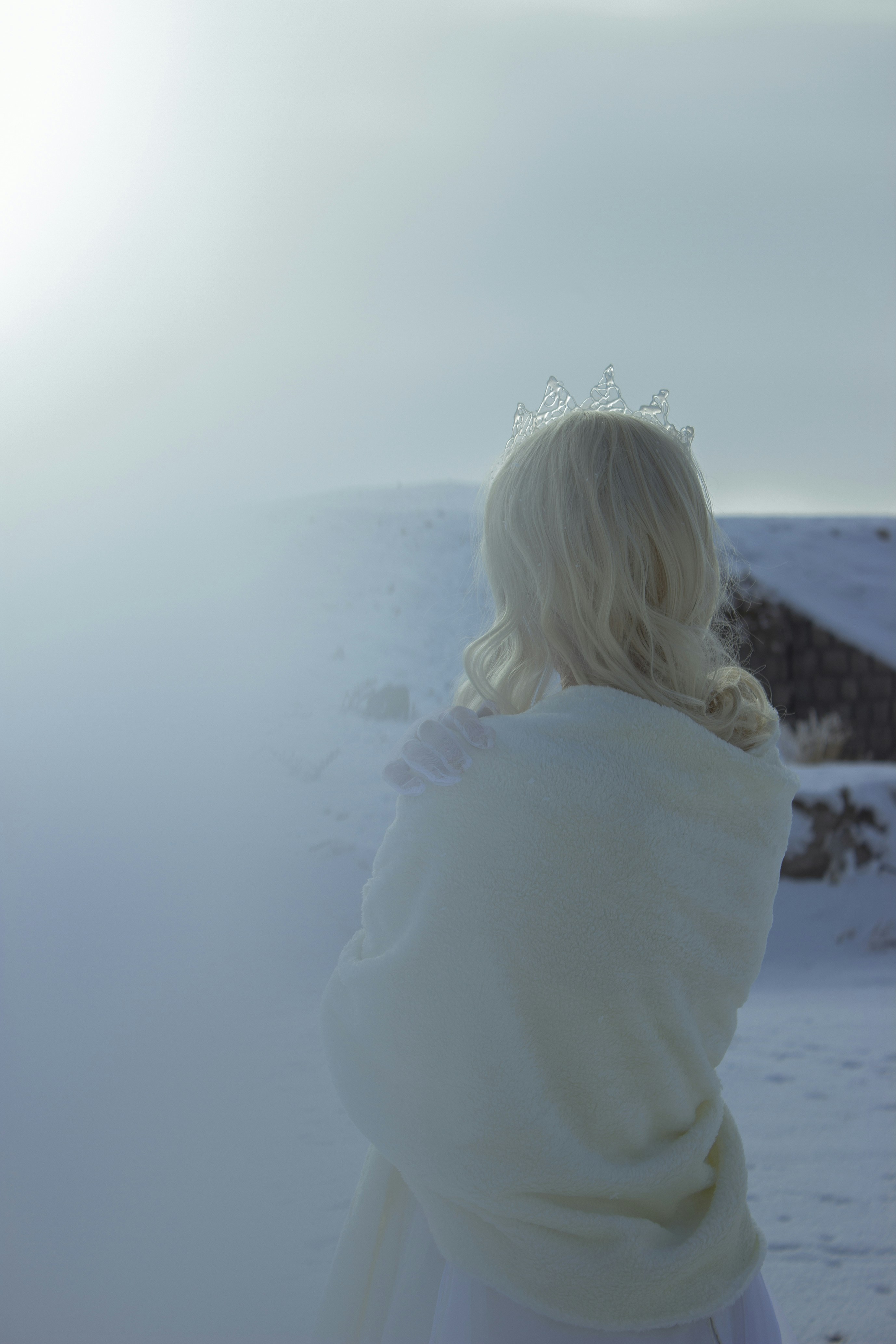 Photo by baranlotfollahi