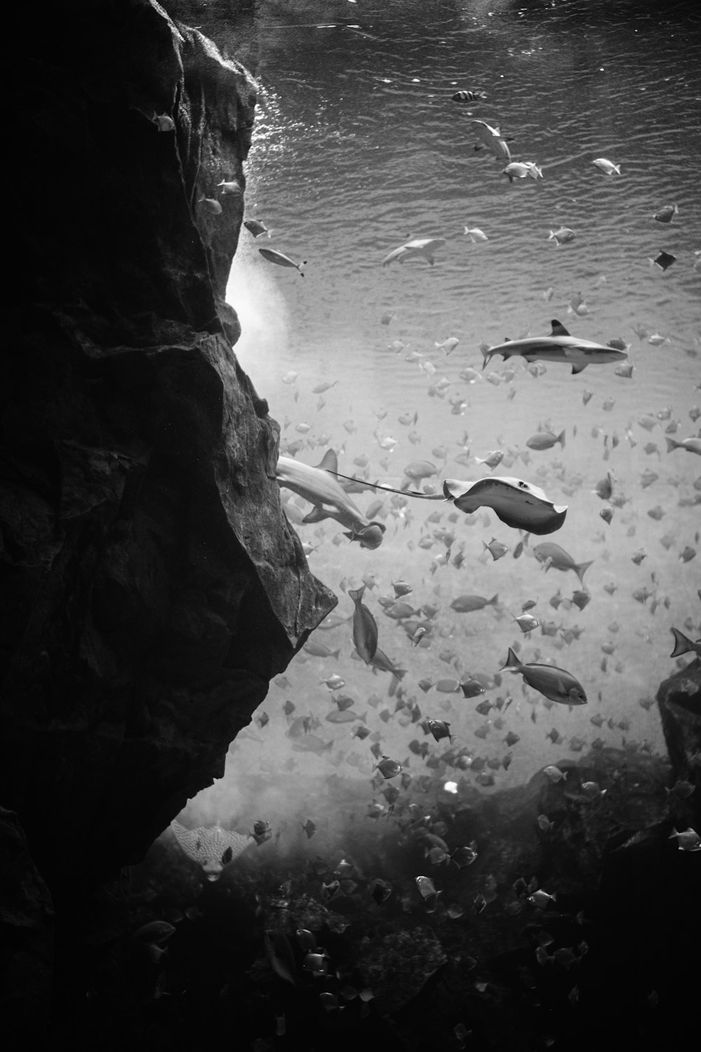 a black and white photo of a body of water