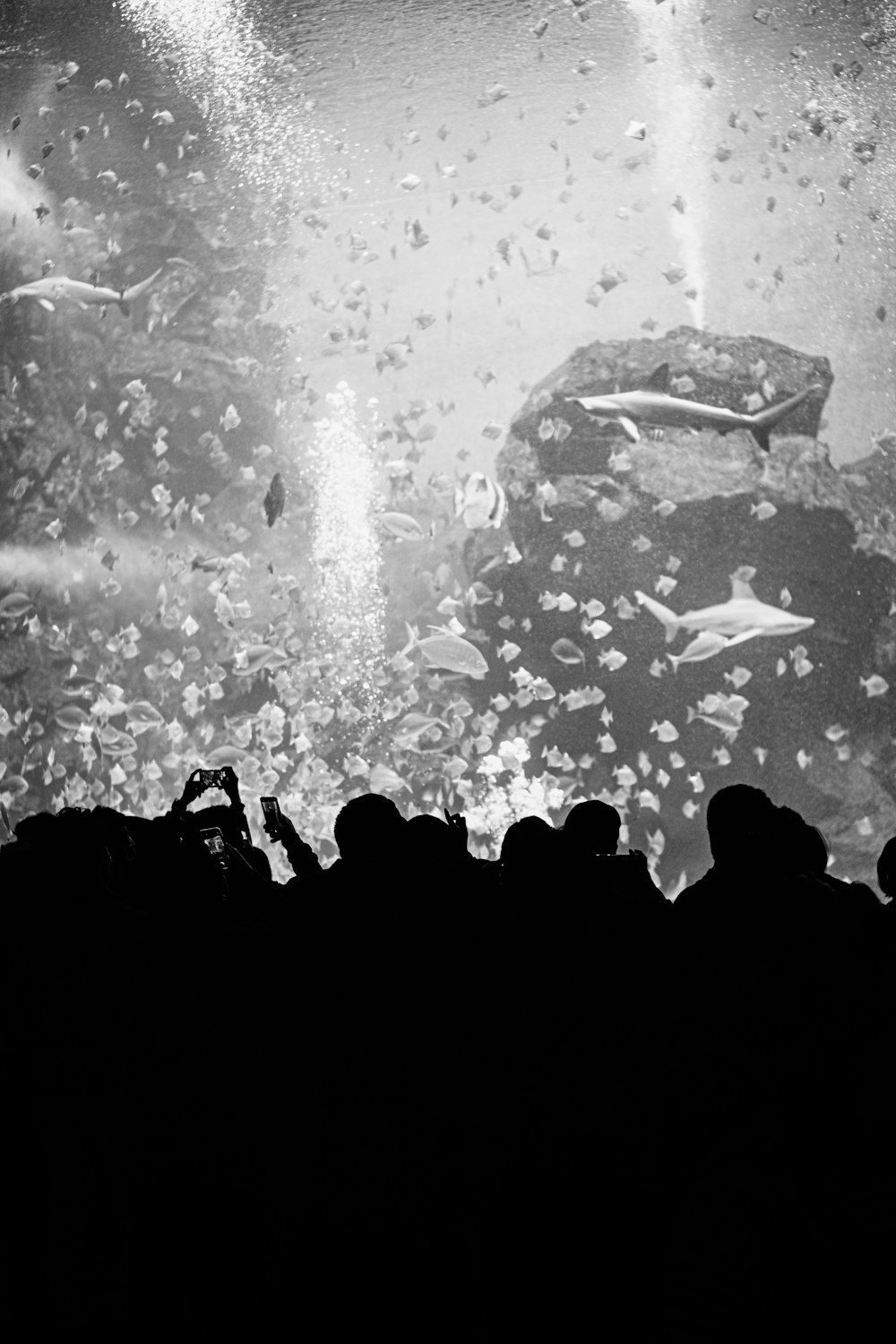 a group of people standing in front of a large screen